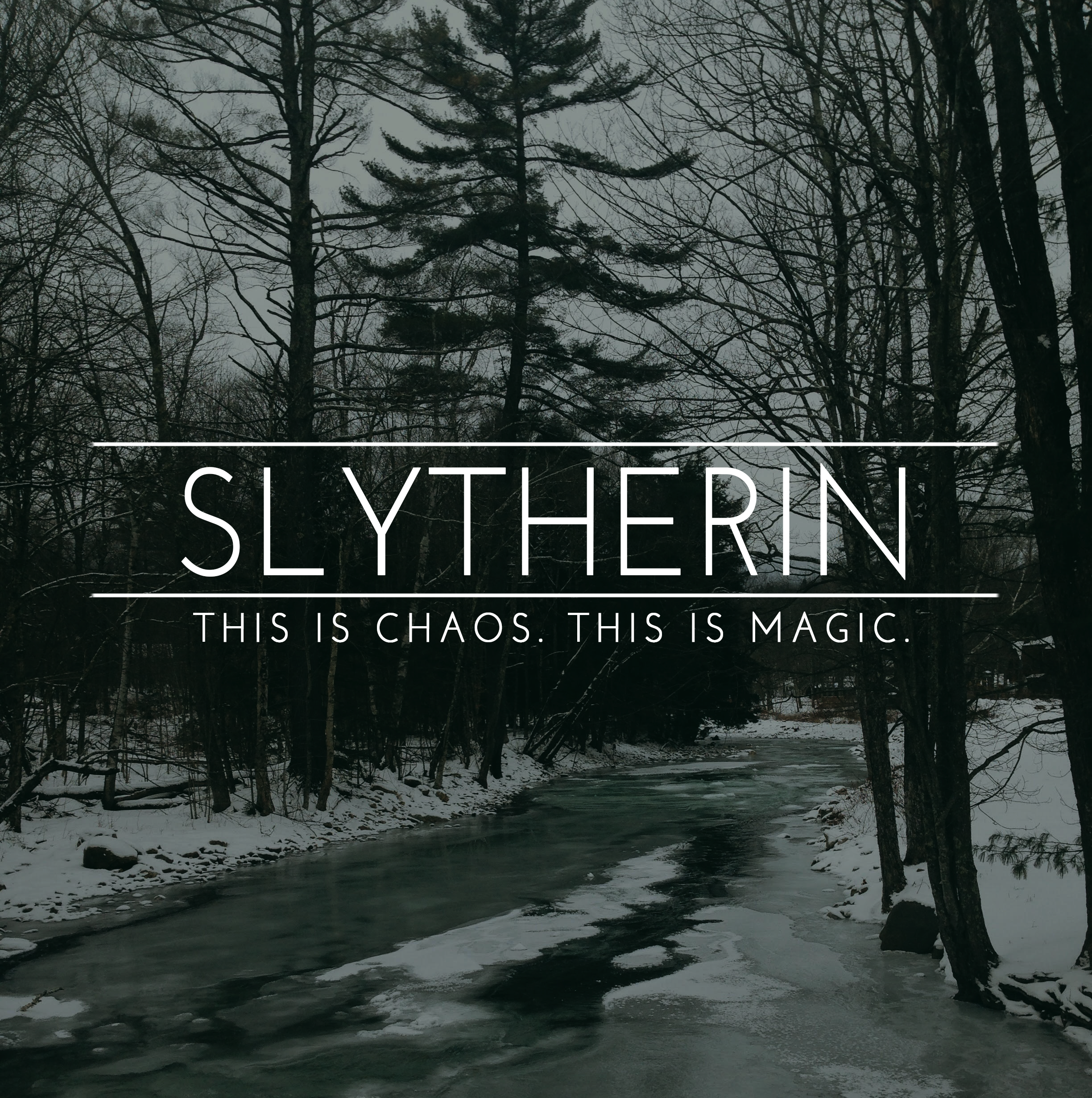 Slytherin Pride, This is chaos, This is magic