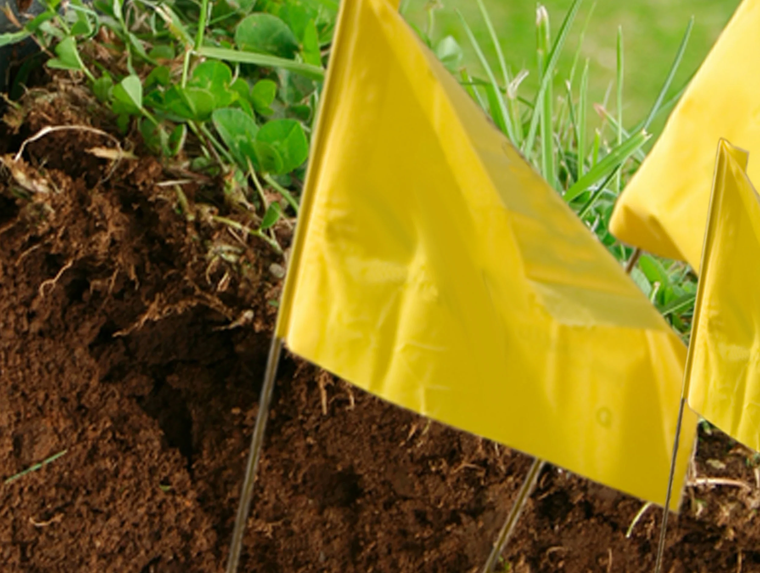 gas flag2.jpg
