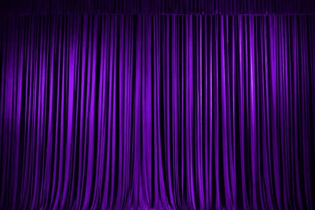 purple curtain 1.jpg