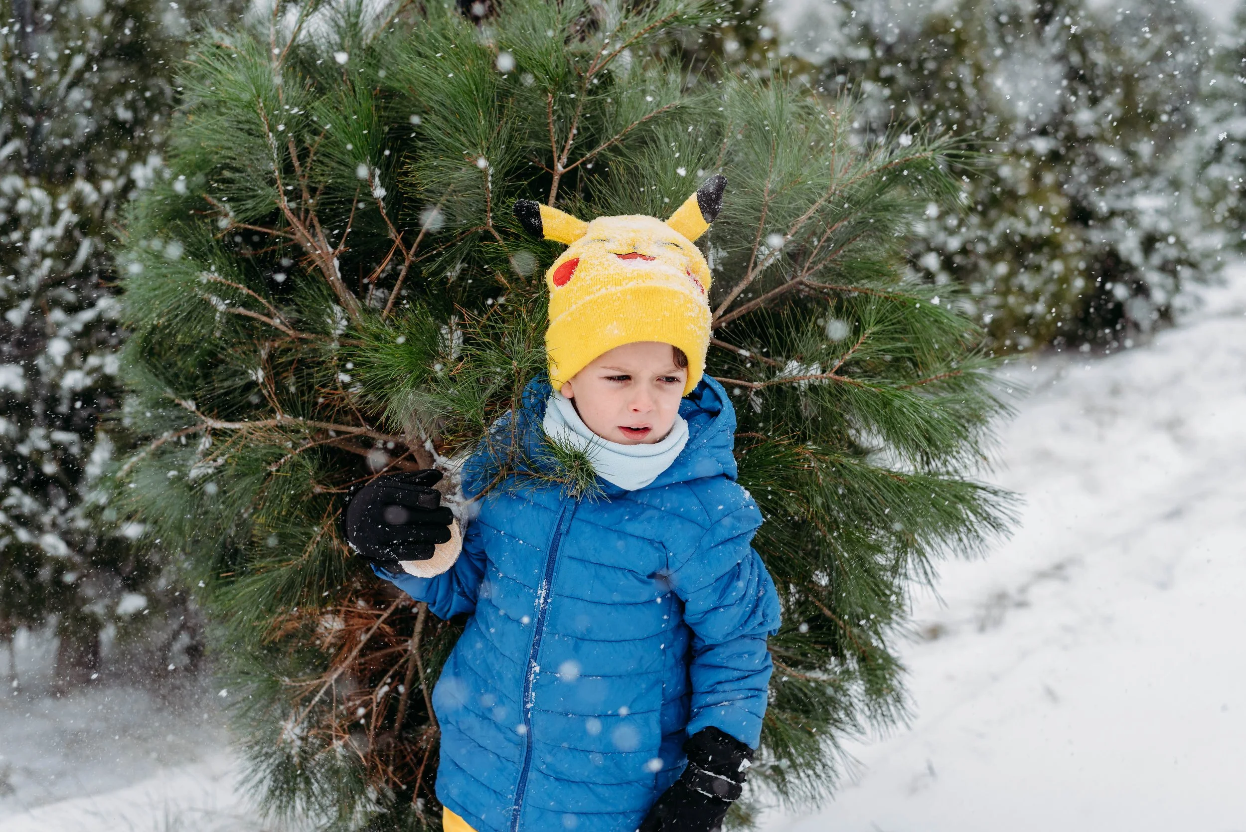 DSC_6391.jpg