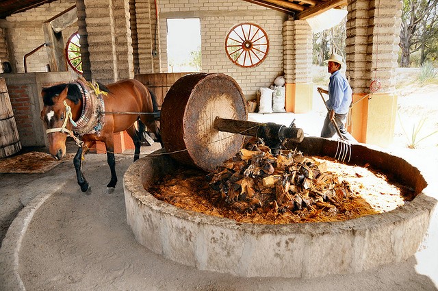 traditional mezcal production source: flickr.com