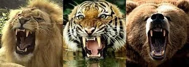Supplier and Distributor Promotional “Banks,” Third Party Promotion Companies and Inconsistent TTB Enforcement, Oh My!
