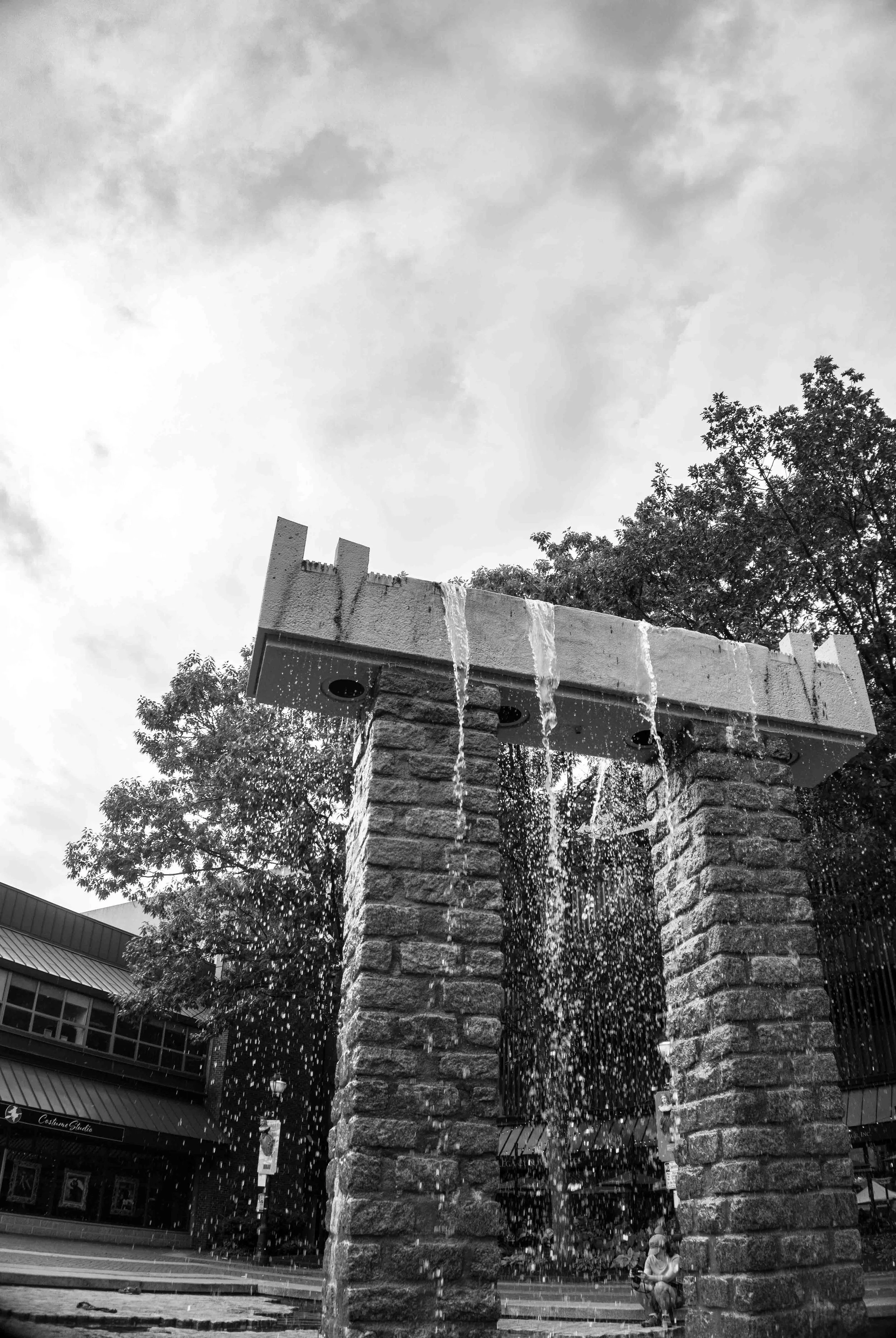 _DSC9247.jpg
