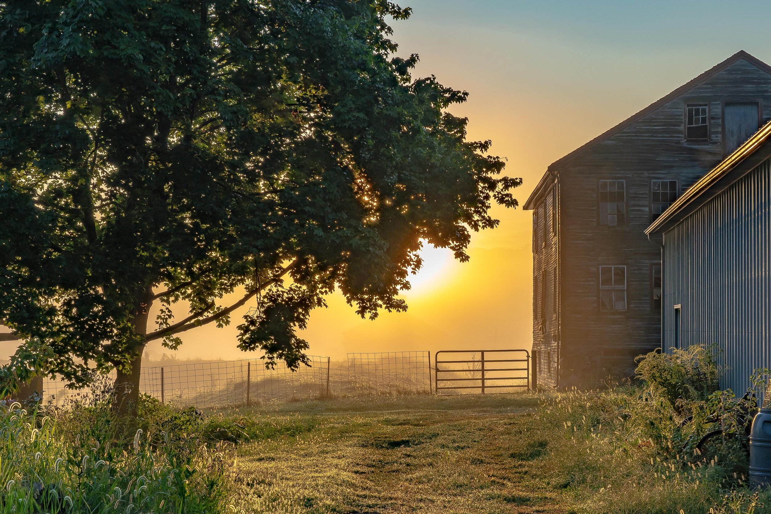 Conservation Coordinator - pg barn - Kathy Sferra.jpg