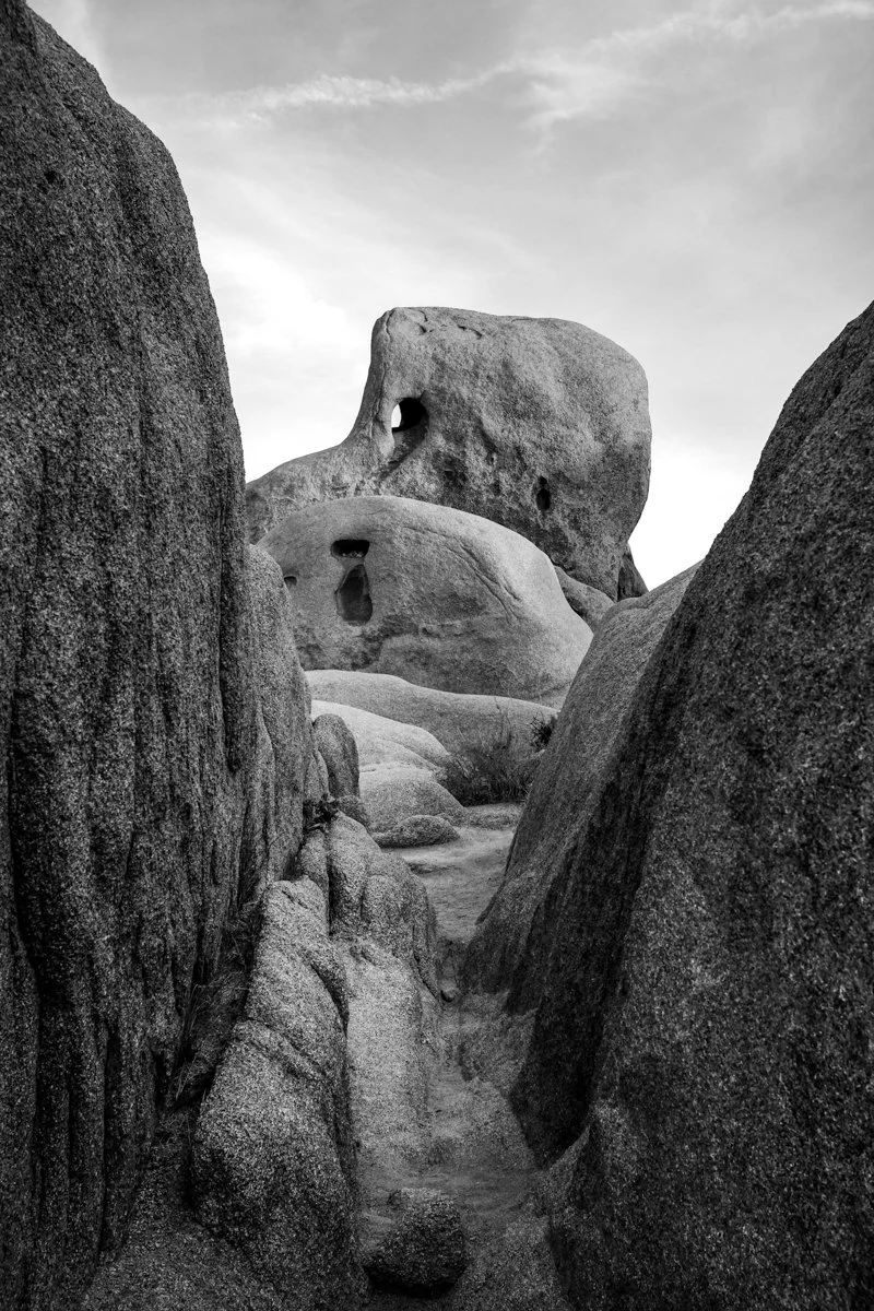 joshua-tree-3.jpg