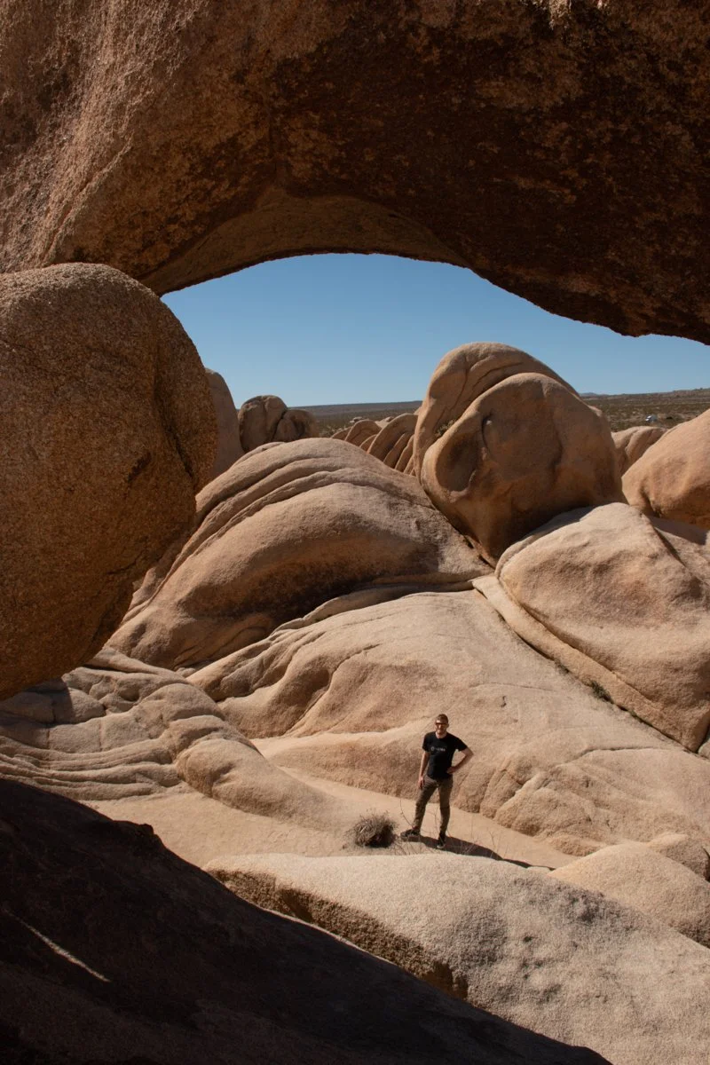 joshua-tree-21.jpg