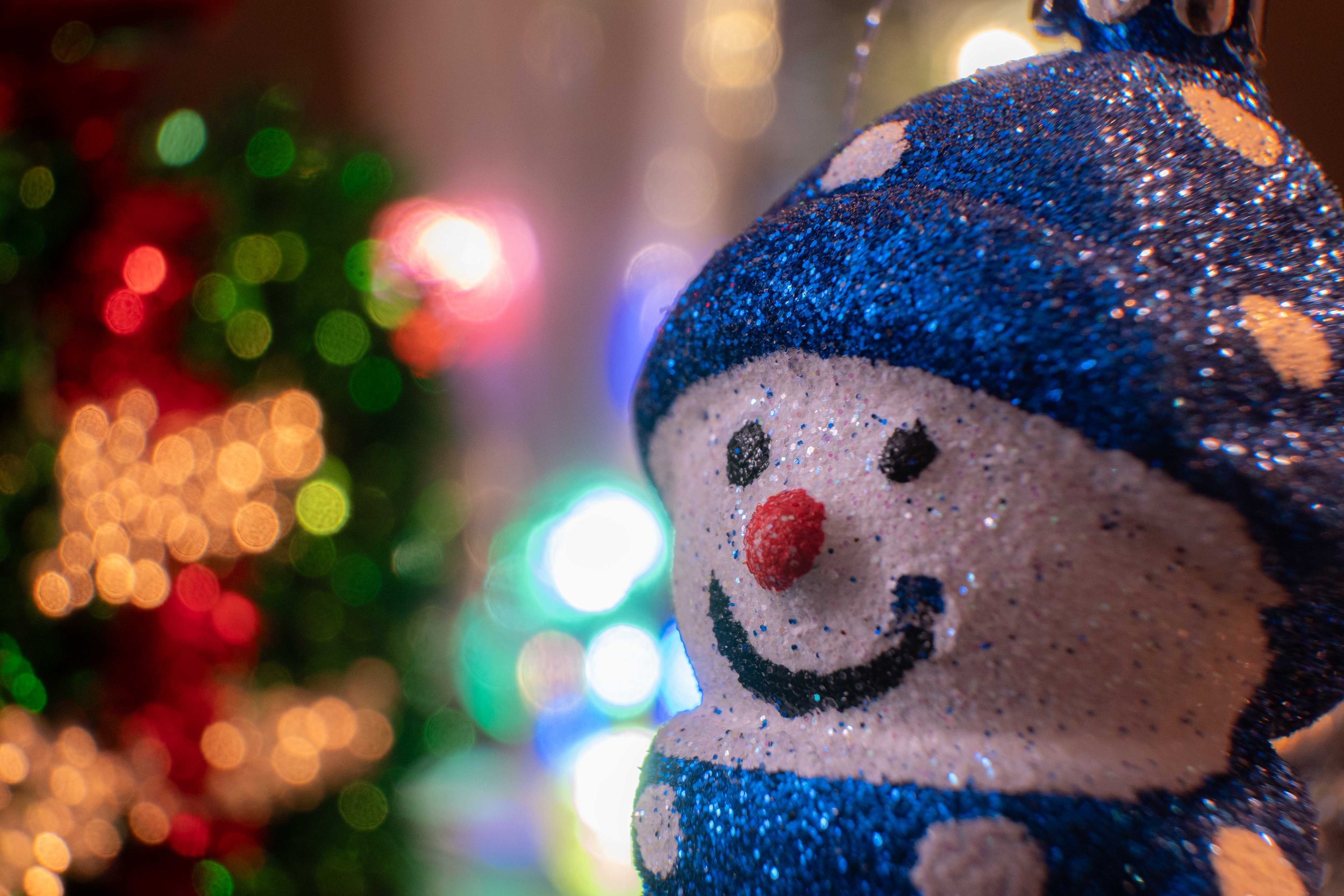 Holiday_Macro_DSC_2858.jpg