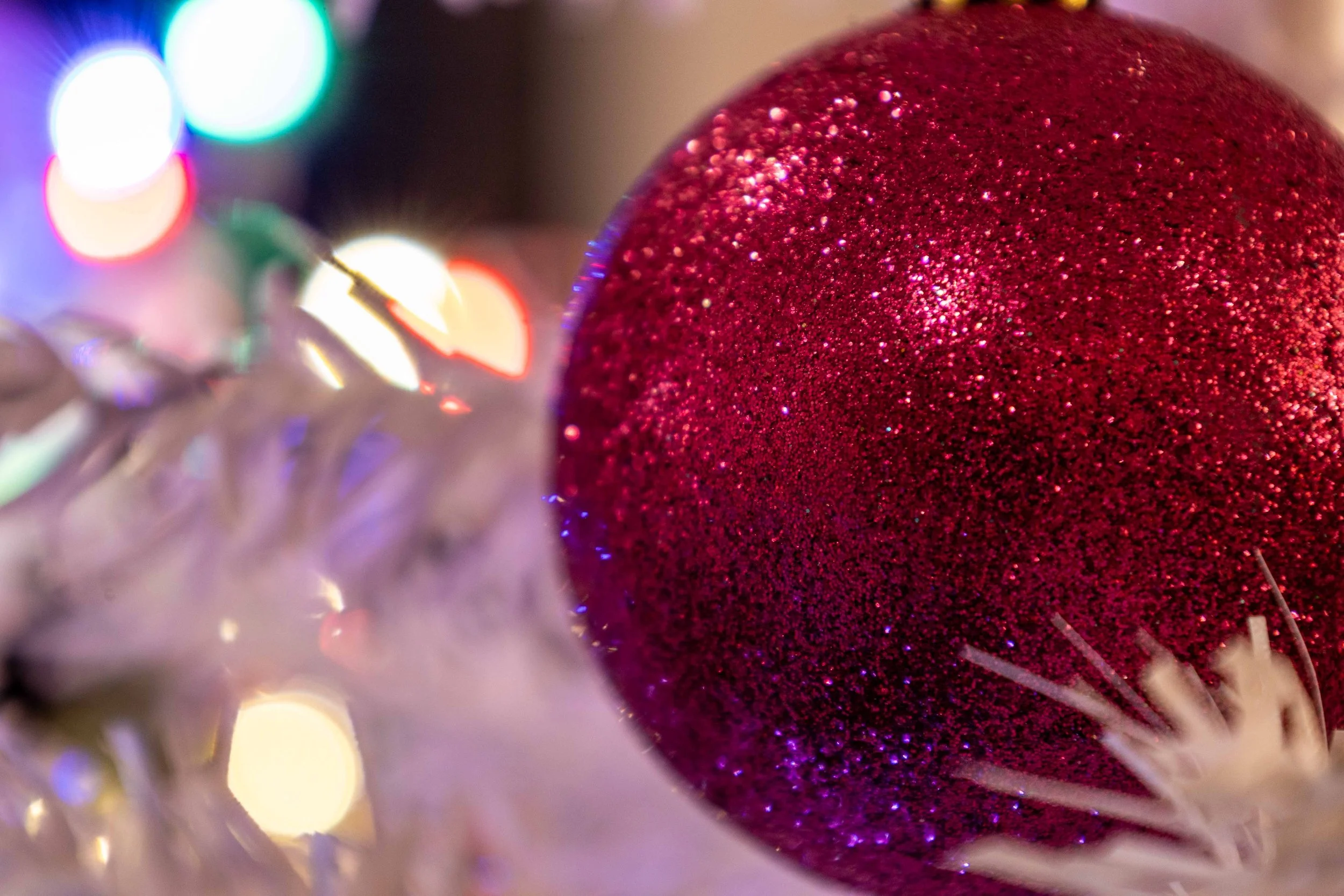 Holiday_Macro_w7a9685.jpg