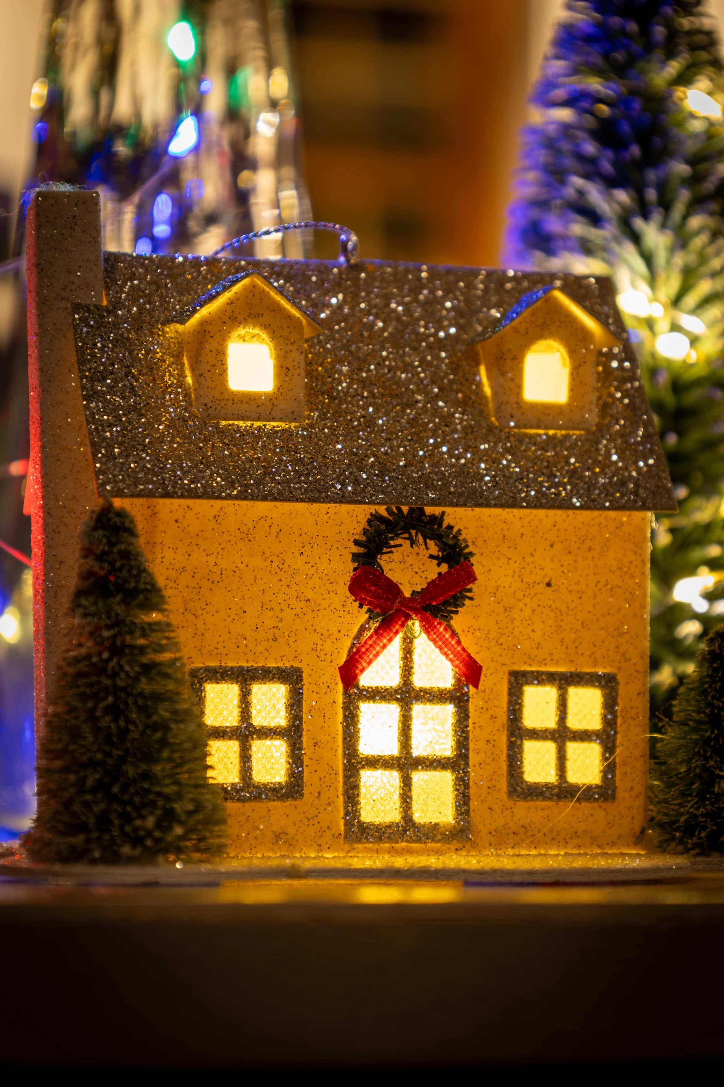 Holiday_Macro_w7a9693.jpg