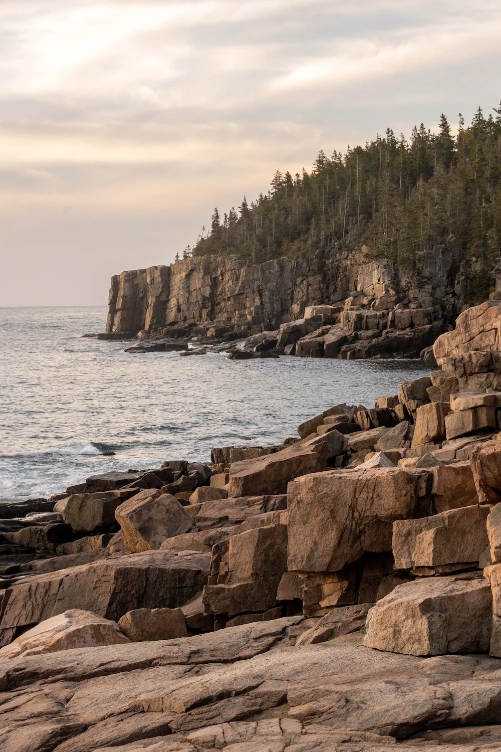 acadia-pete-12.jpg