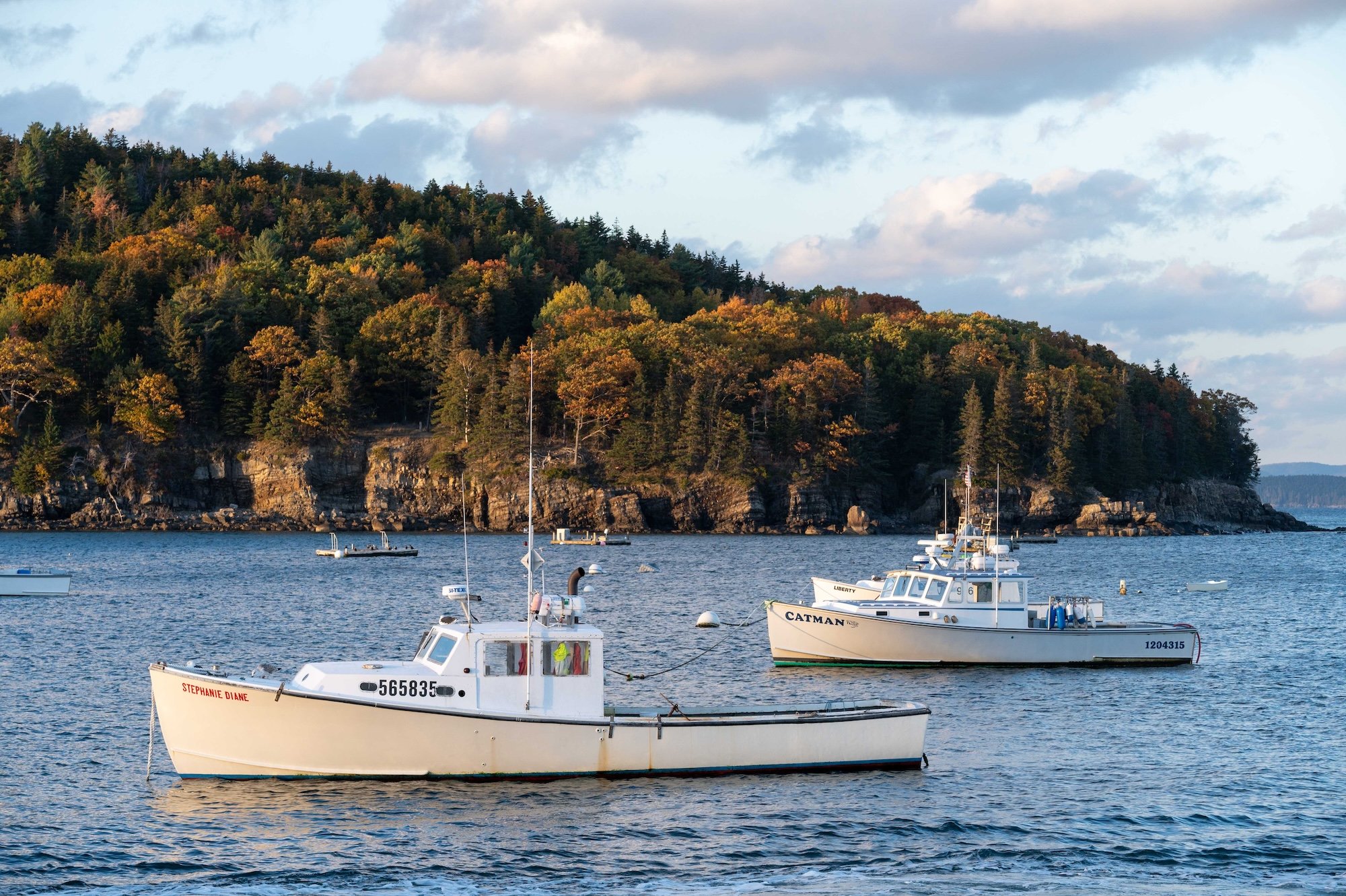 acadia-pete-4.jpg
