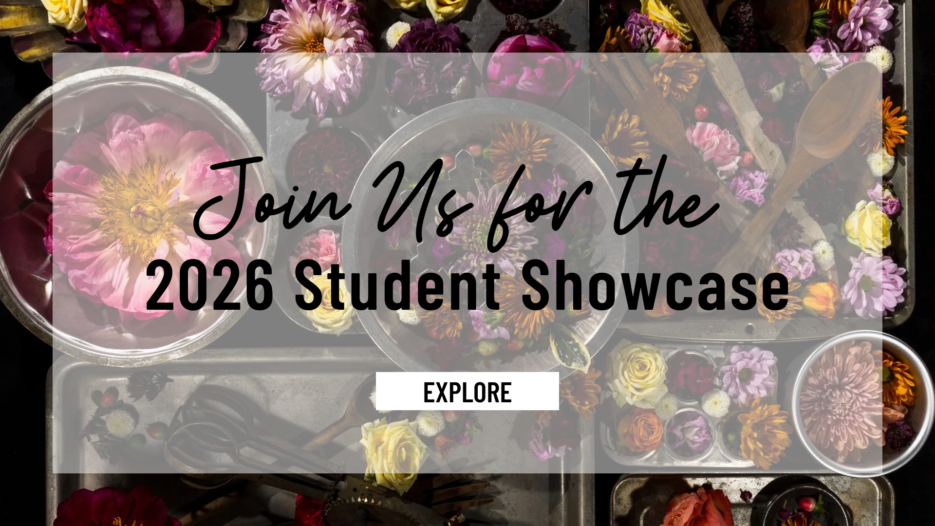 CURRENT  Aug 2024 Showcase.png