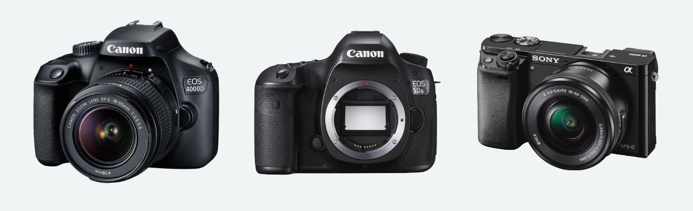 Best Cameras For  in 2021 
