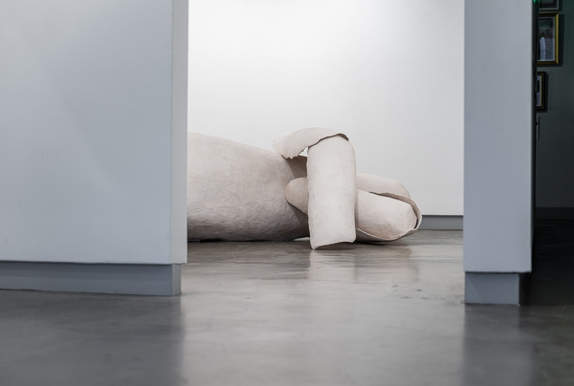 4. shell of body - view through door.jpg