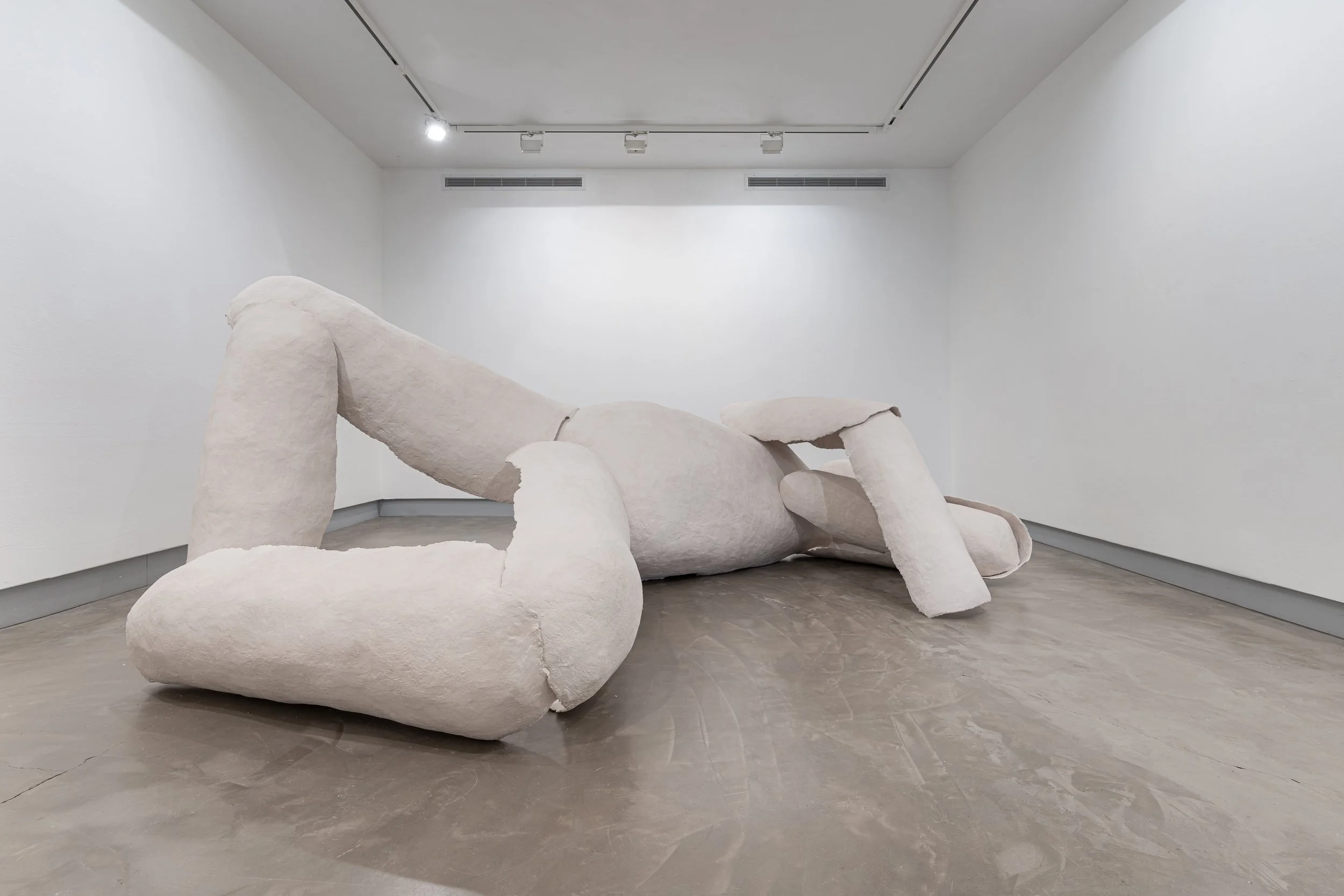 Jess-Perlitz-Shell of Body - front.jpg