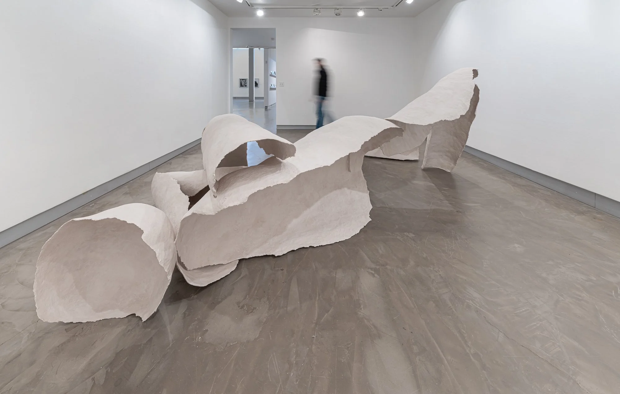 Jess-Perlitz-Shell of Body.jpg