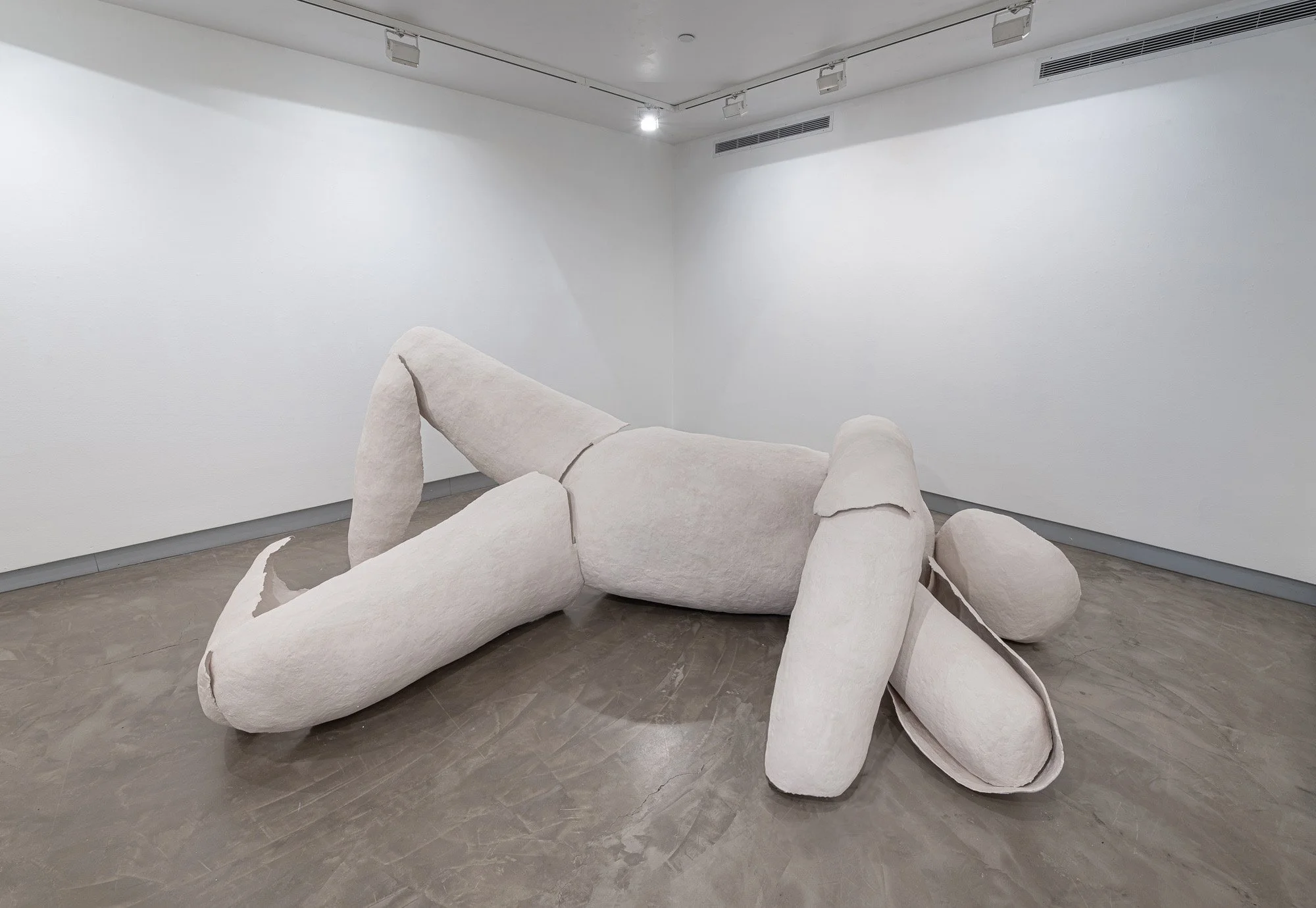 shell of body s.jpg