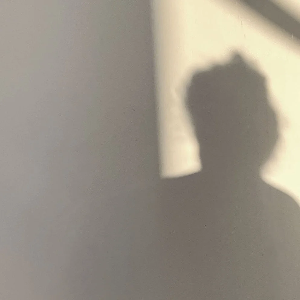 wall thumbnail.jpg