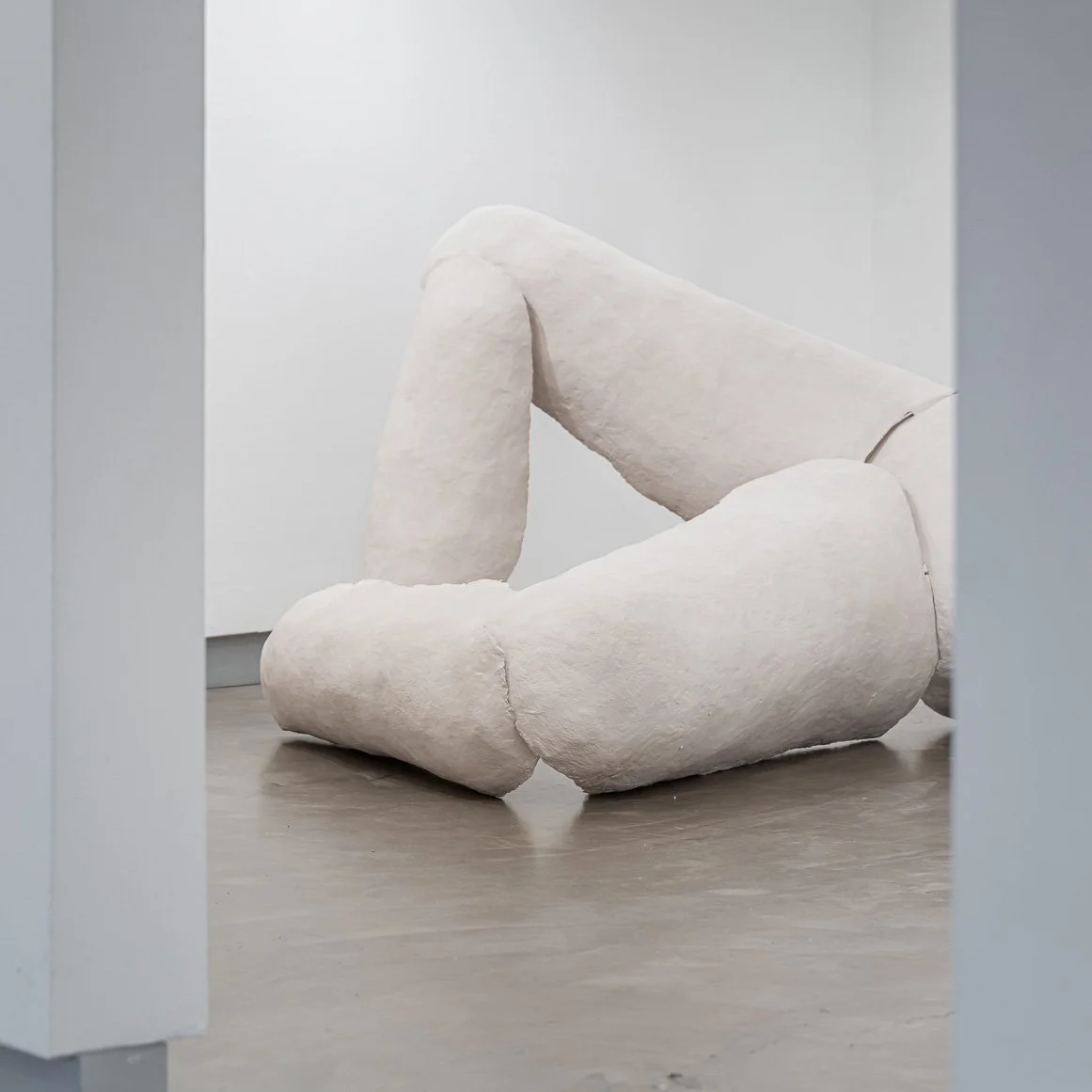 shell of body thumbnail.jpg
