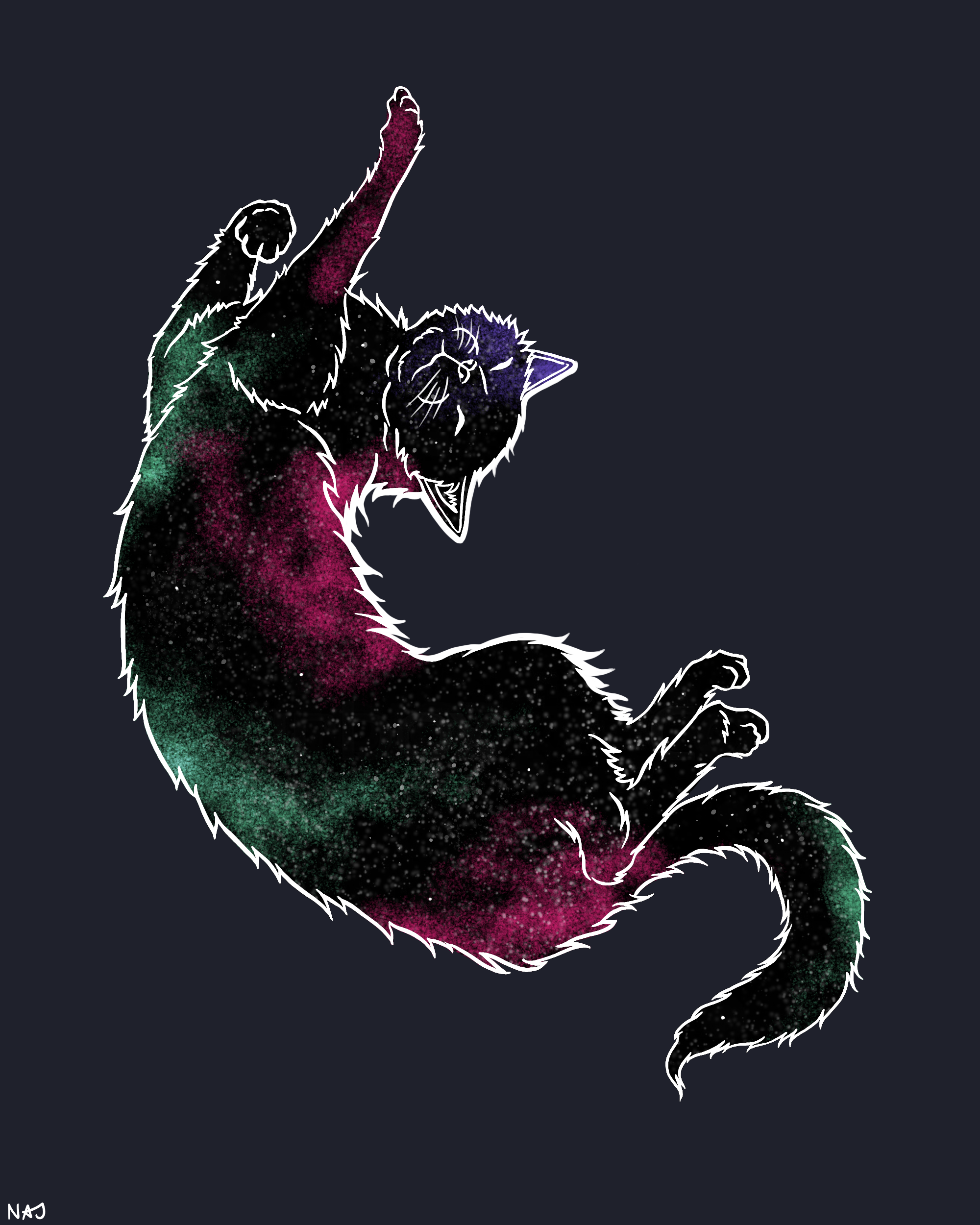 Galaxy_Cat.png