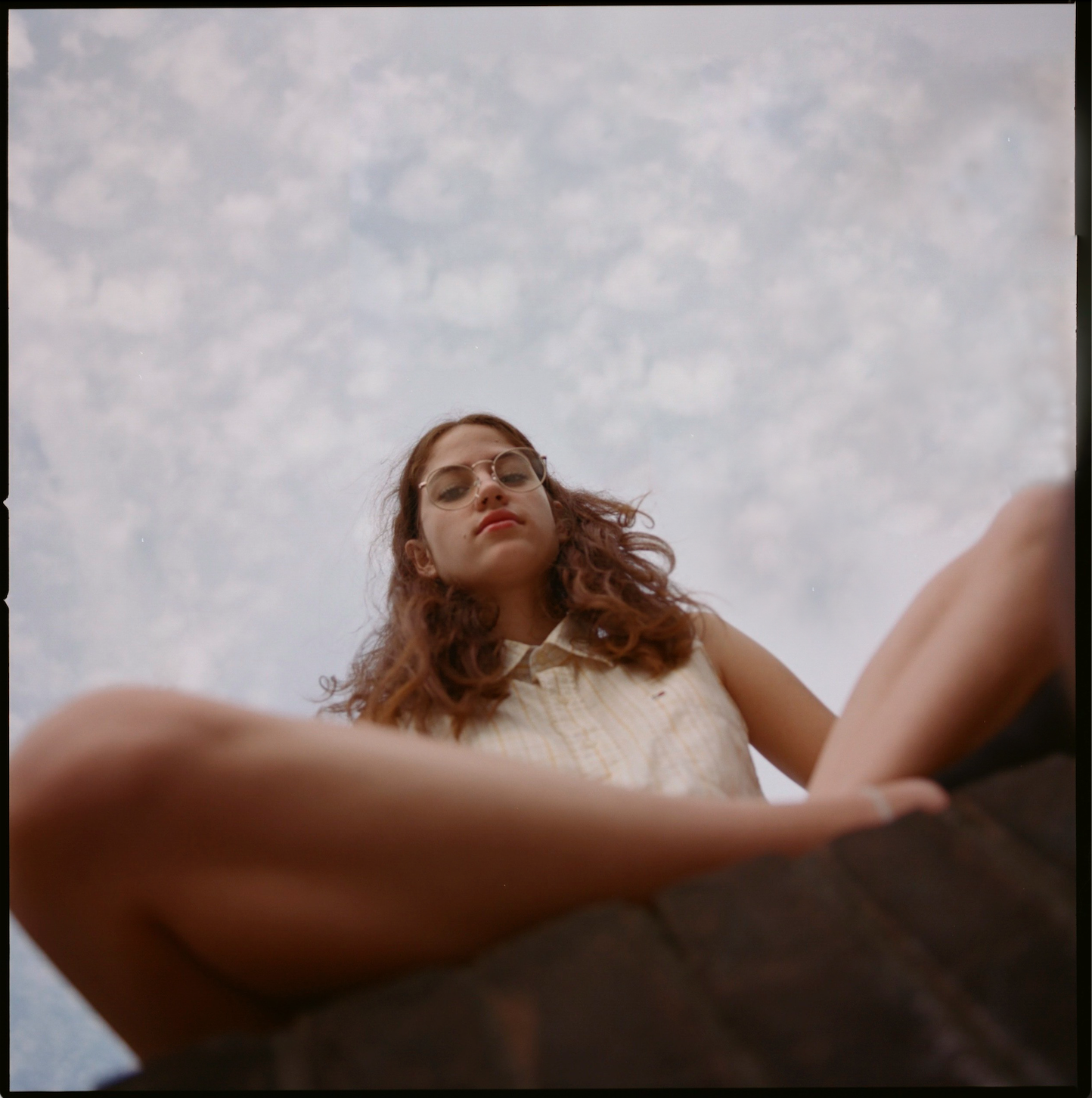 Hasselblad Test Lnd Fields Iris .png