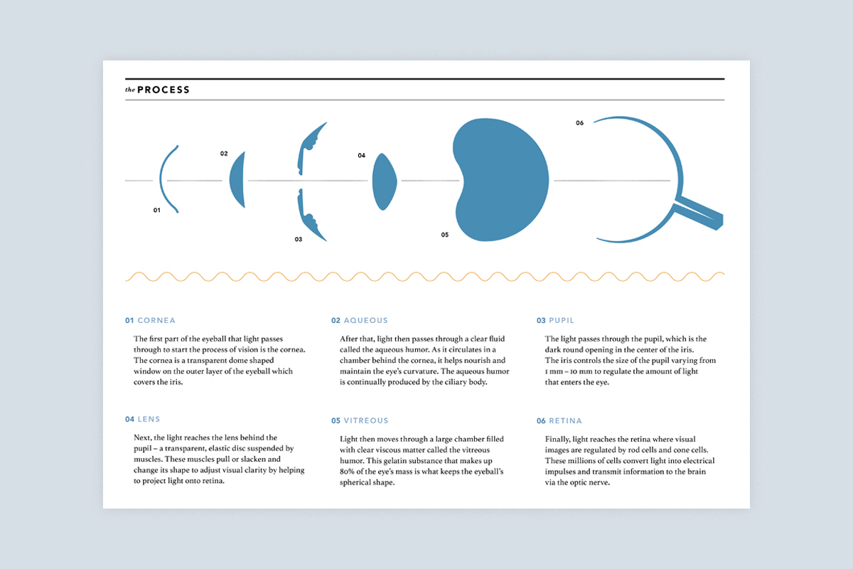 VisionProcessPoster_TheProcess_BG.jpg