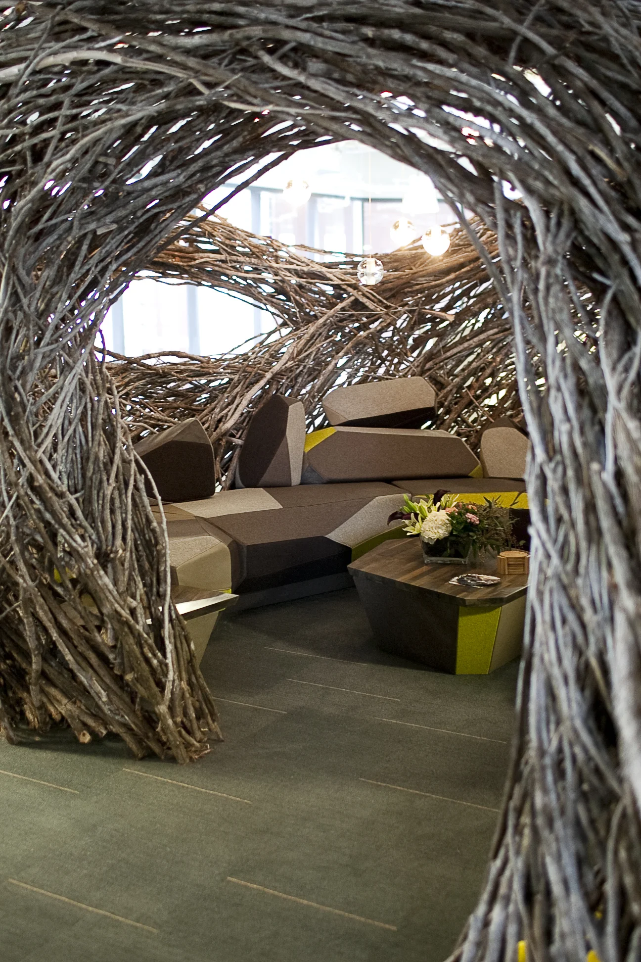 Smiley nest close up.jpg