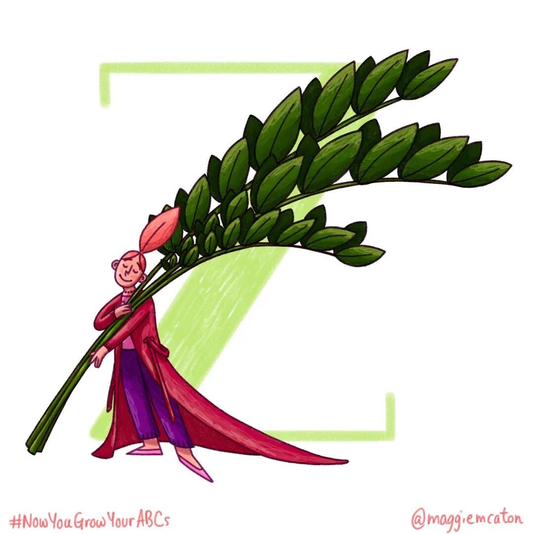 Z is for for ZZ Plant 😴 🌿 #NowYouGrowYourABCs

#36days #36days_z #36daysoftype_z #36daysoftype #36days_adobe #36daysoftype09 #alphabet #illo #kitlitart #scbwiillustrators #womenwhodraw #illustration #illustratorsoninstagram #madeinbrooklyn #zzplant