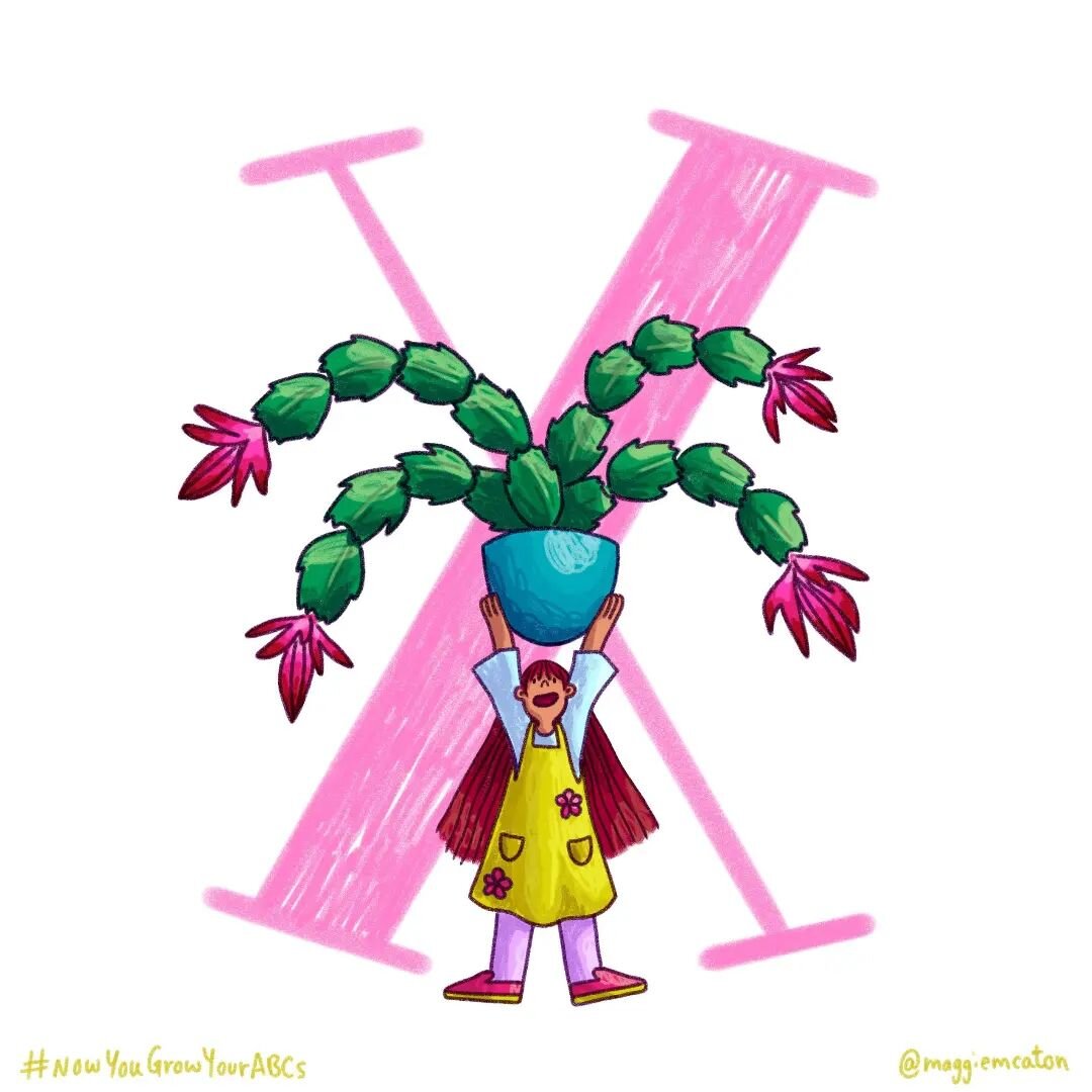 X is for Xmas Cactus 🎅 🏜 #NowYouGrowYourABCs

#36days #36days_x #36daysoftype_x #36daysoftype #36days_adobe #36daysoftype09 #alphabet #illo #kitlitart #scbwiillustrators #christmascactus #cactiofinstagram #womenwhodraw #illustration #illustratorson