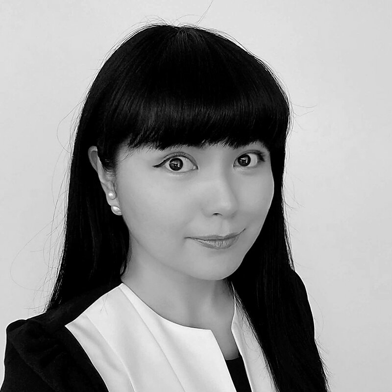 Lu Jiang, Pro Bono Manager