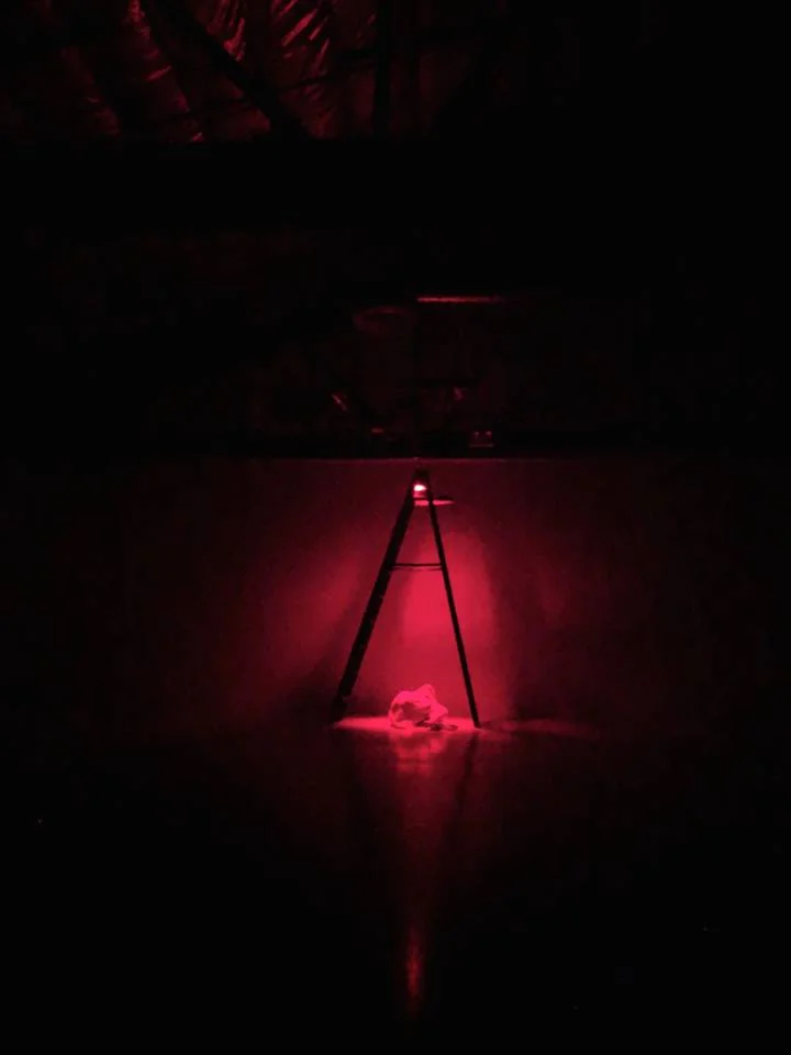 Director/Choreographer The Capillaries Links Hall