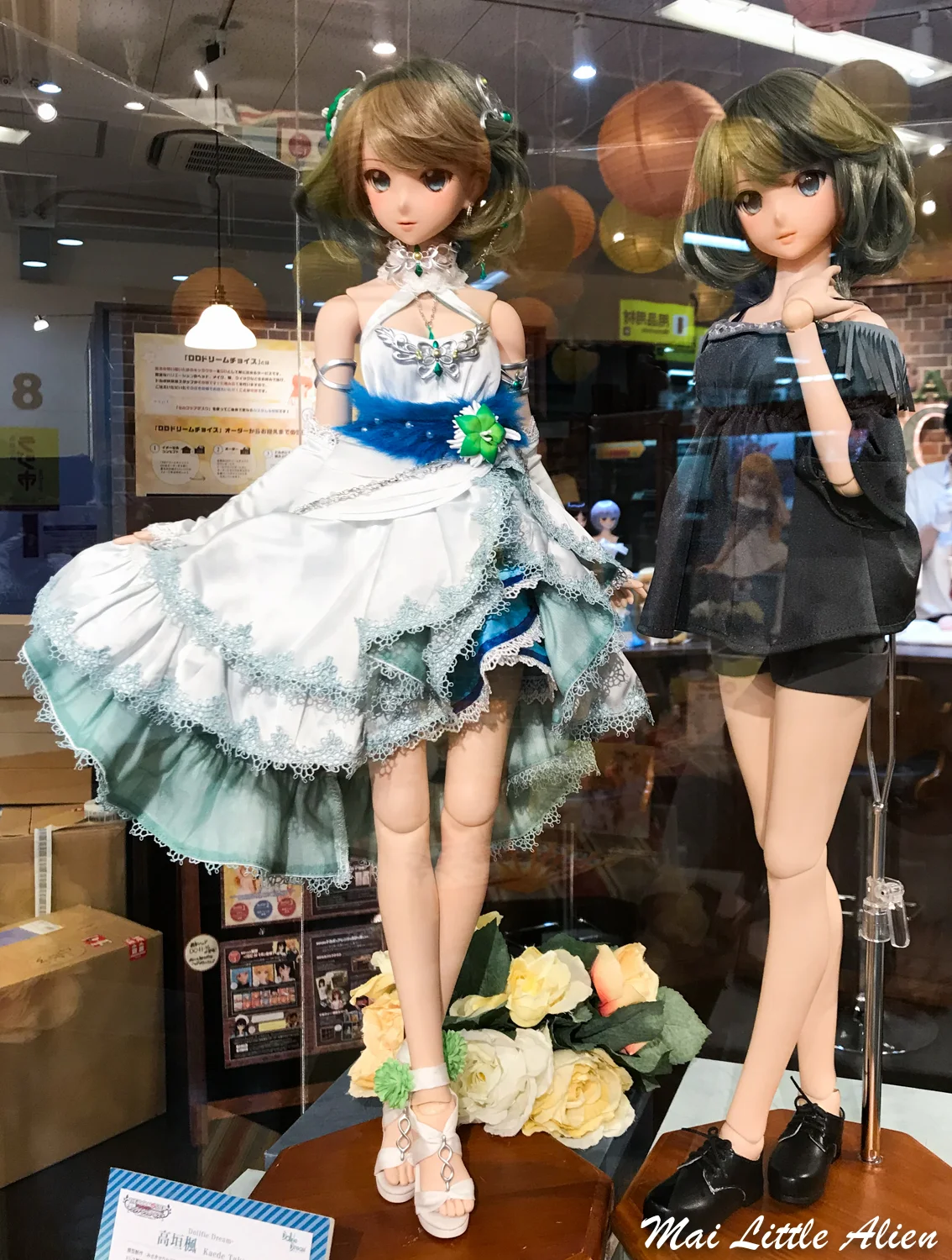 dollpo-7.jpg
