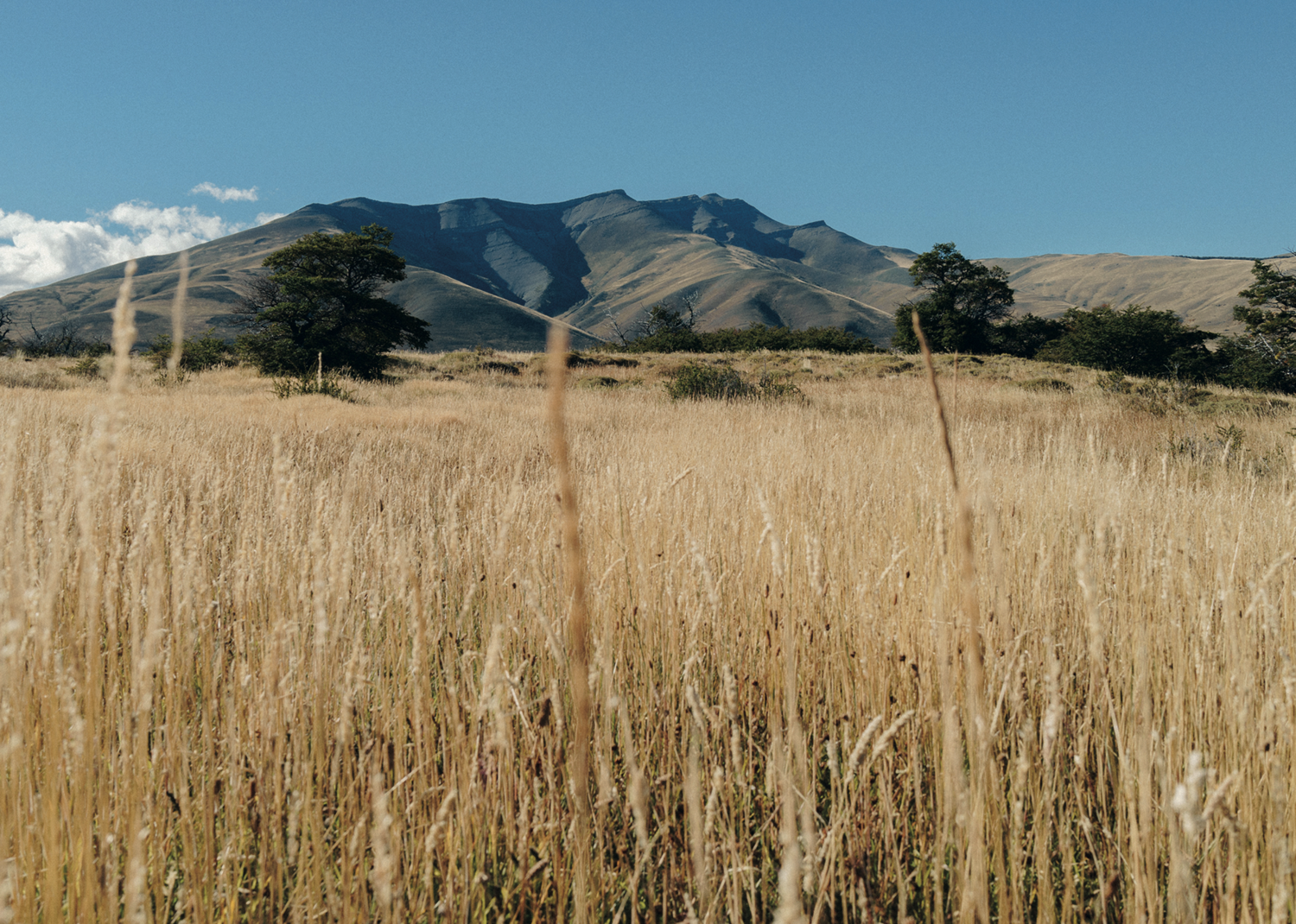 Awasi Patagonia