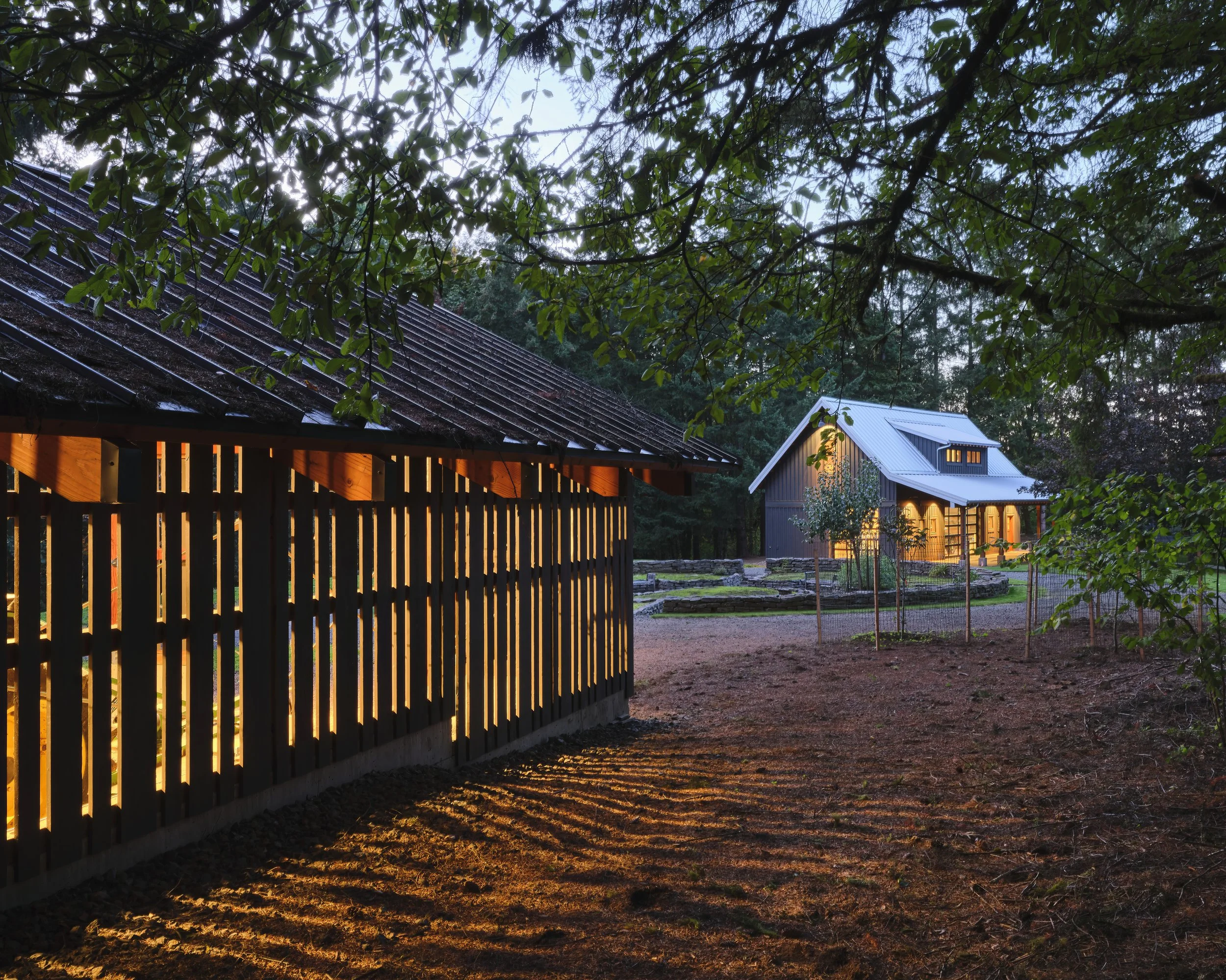 _DSF9160 1-topaz.jpeg