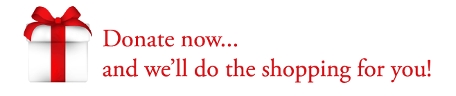 Donate-Now-Button-we-do-the-shopping.png