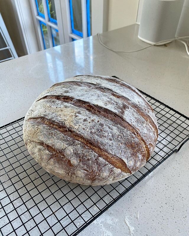 Proud as punch for actually completing 
@bonappetitmag&rsquo;s best ever bread recipe. It only took us three days but we&rsquo;re here. Having this tonight with Ima&rsquo;s chicken soup. Just call me Henny Penny.