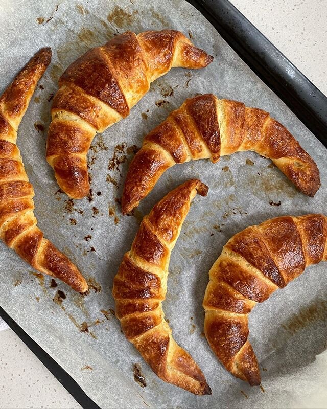 We&rsquo;ve always seen making our own croissants as a pretty daunting task. I feel like there is a lot of mystique around their making that only trained experts can get their heads around. Since we had little else to do we (Dylan) decided to give ma