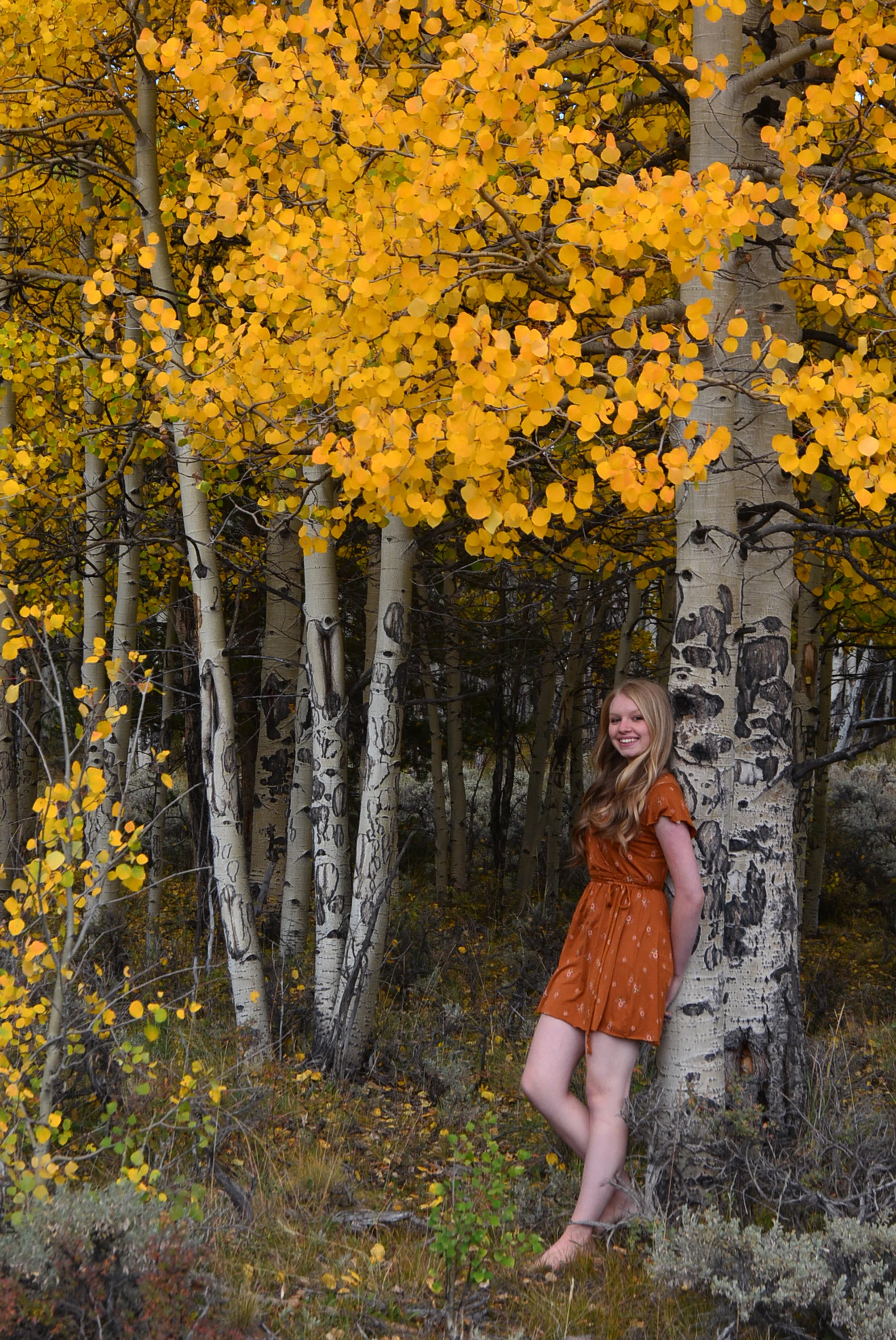 DSC_3334a.jpg