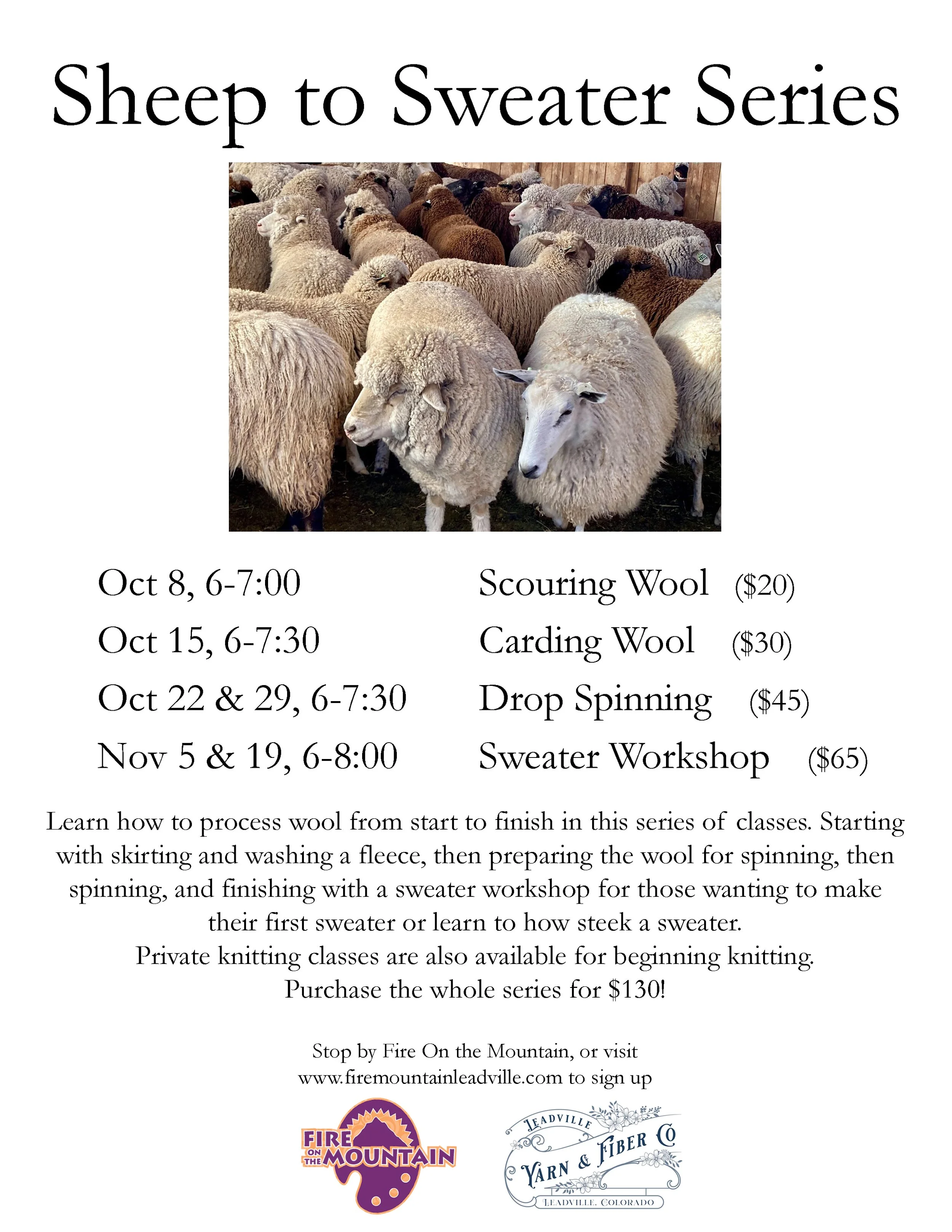 Sheep to sweater.jpg
