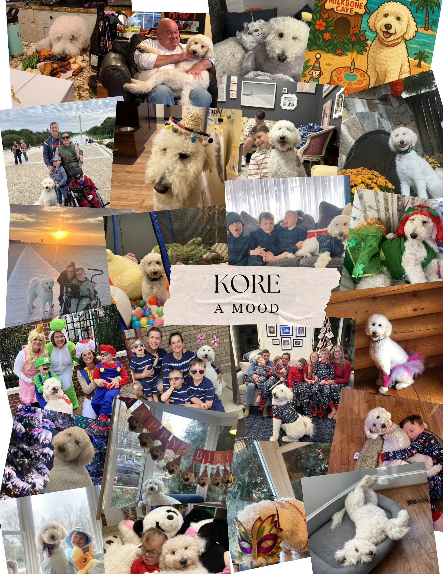 Pets, Their People &amp; Purpose Interview: Kore and Jola