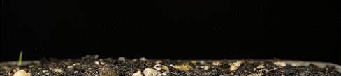 Sequence 09_6.gif