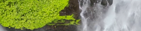 Sequence 09_9.gif