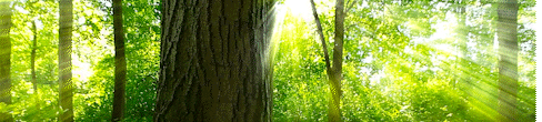 Sequence 09_8.gif