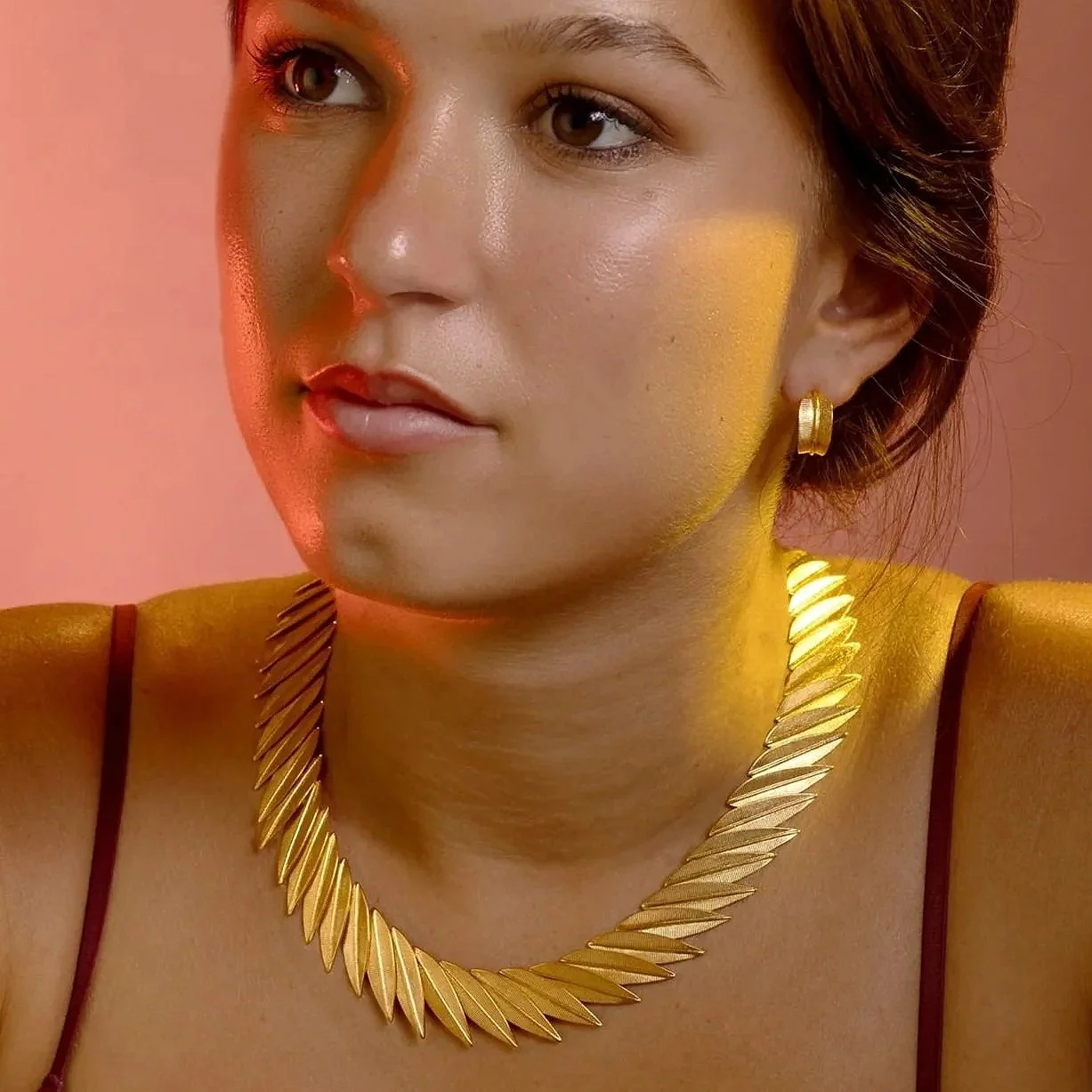 Collar%252Bsmall-hoop.jpg