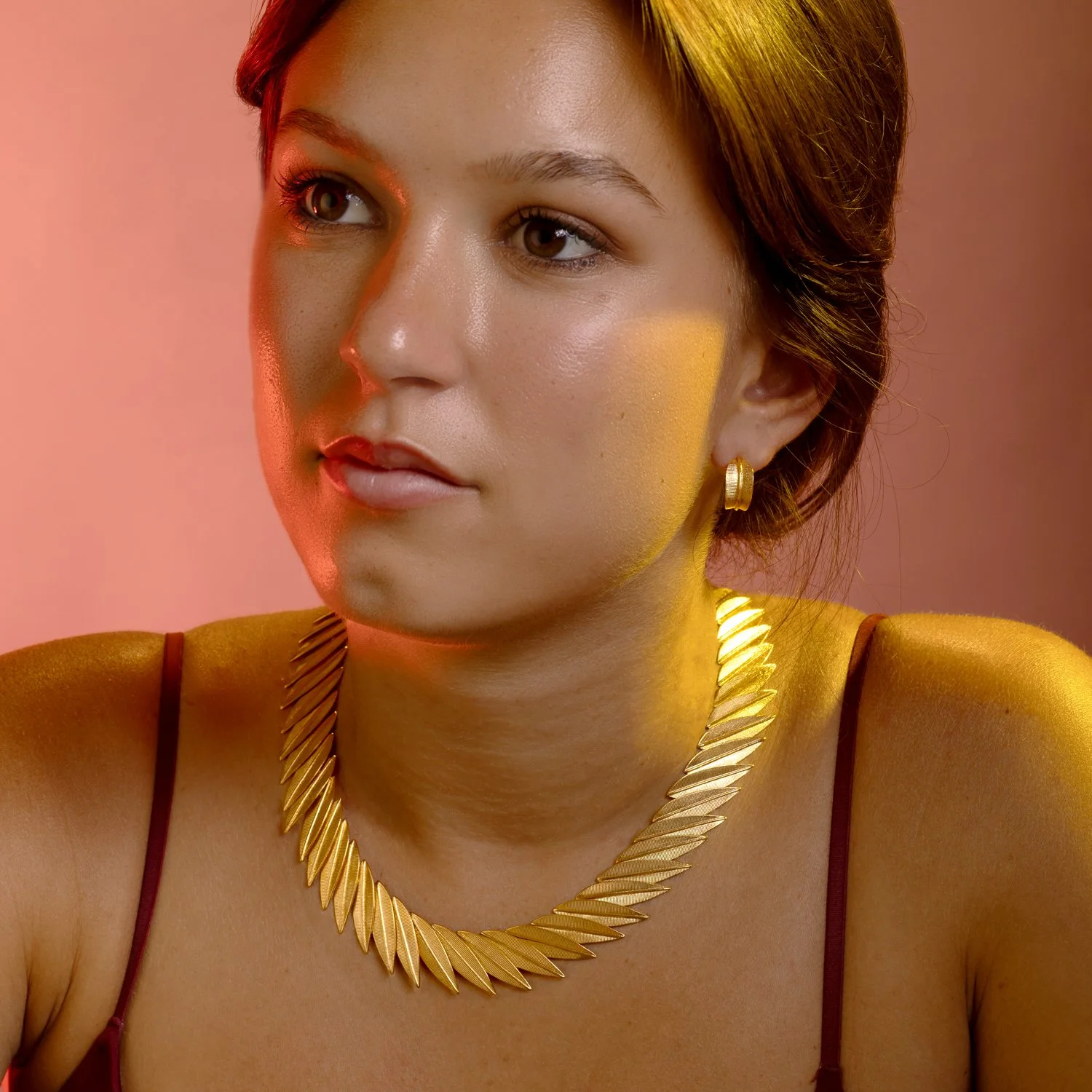 Collar+small-hoop.jpg