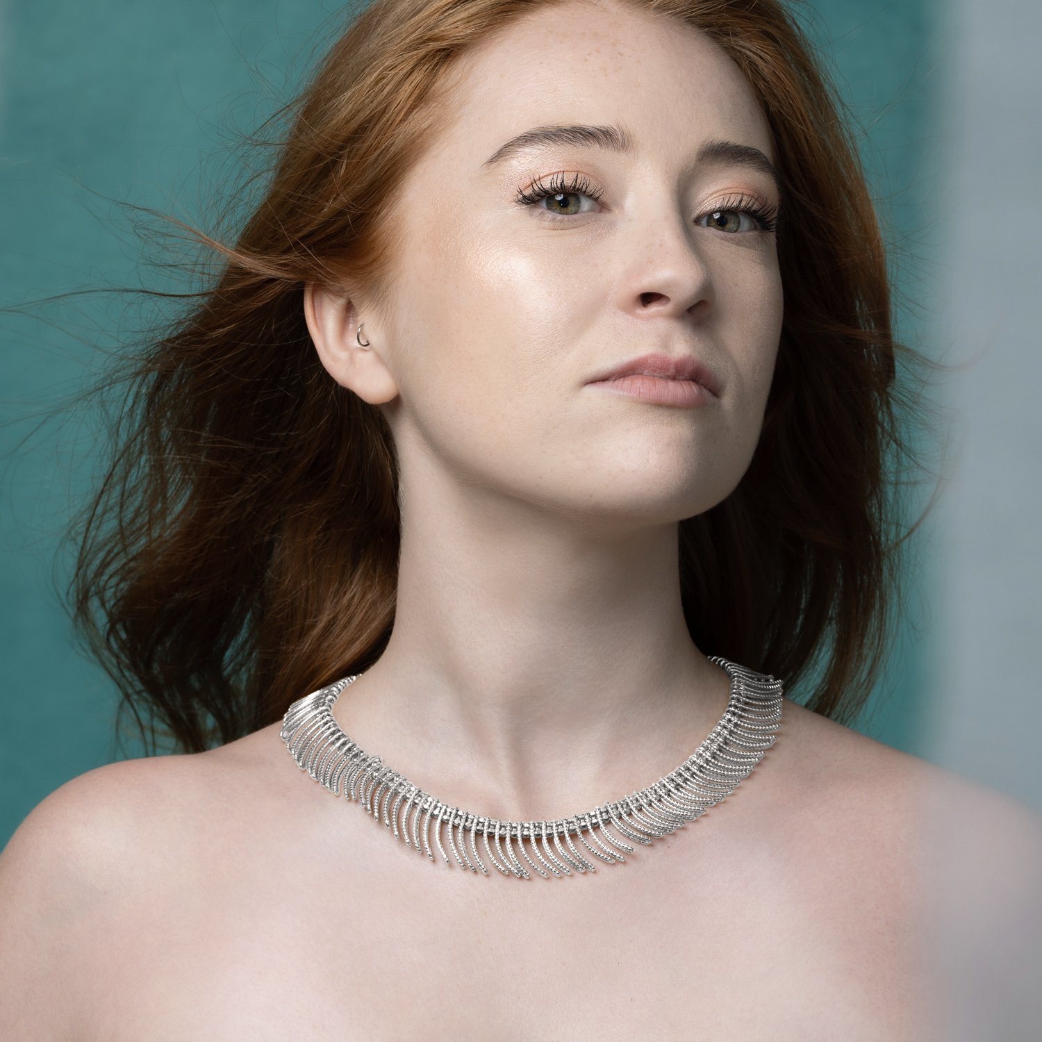 vertebrae-collar-silver-3.jpg
