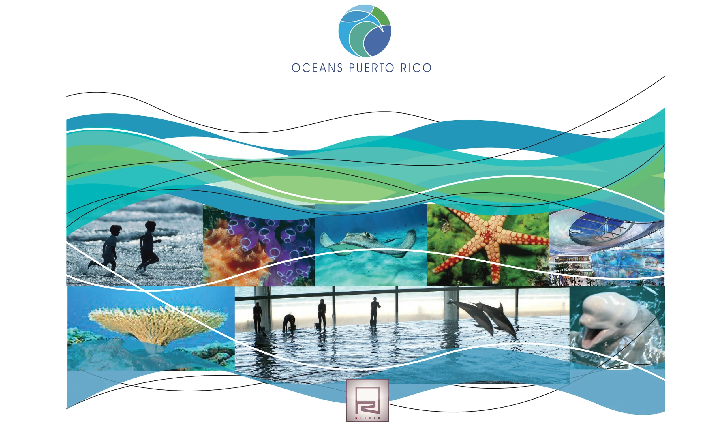 Ocean Presentation_01.jpg