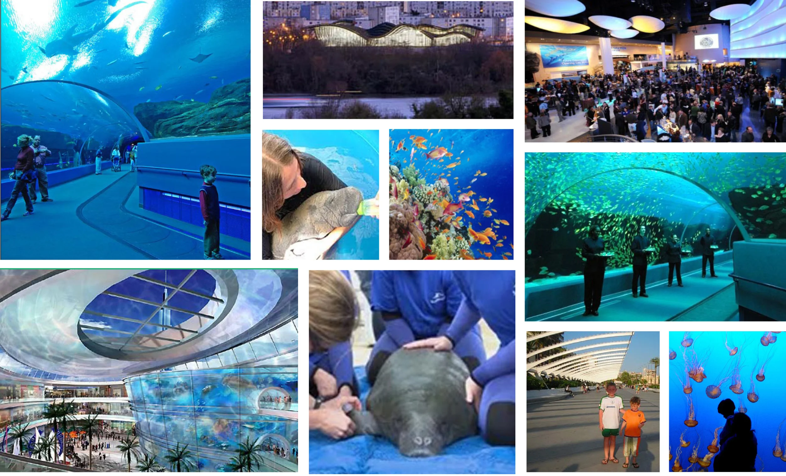 Ocean Presentation_04.jpg