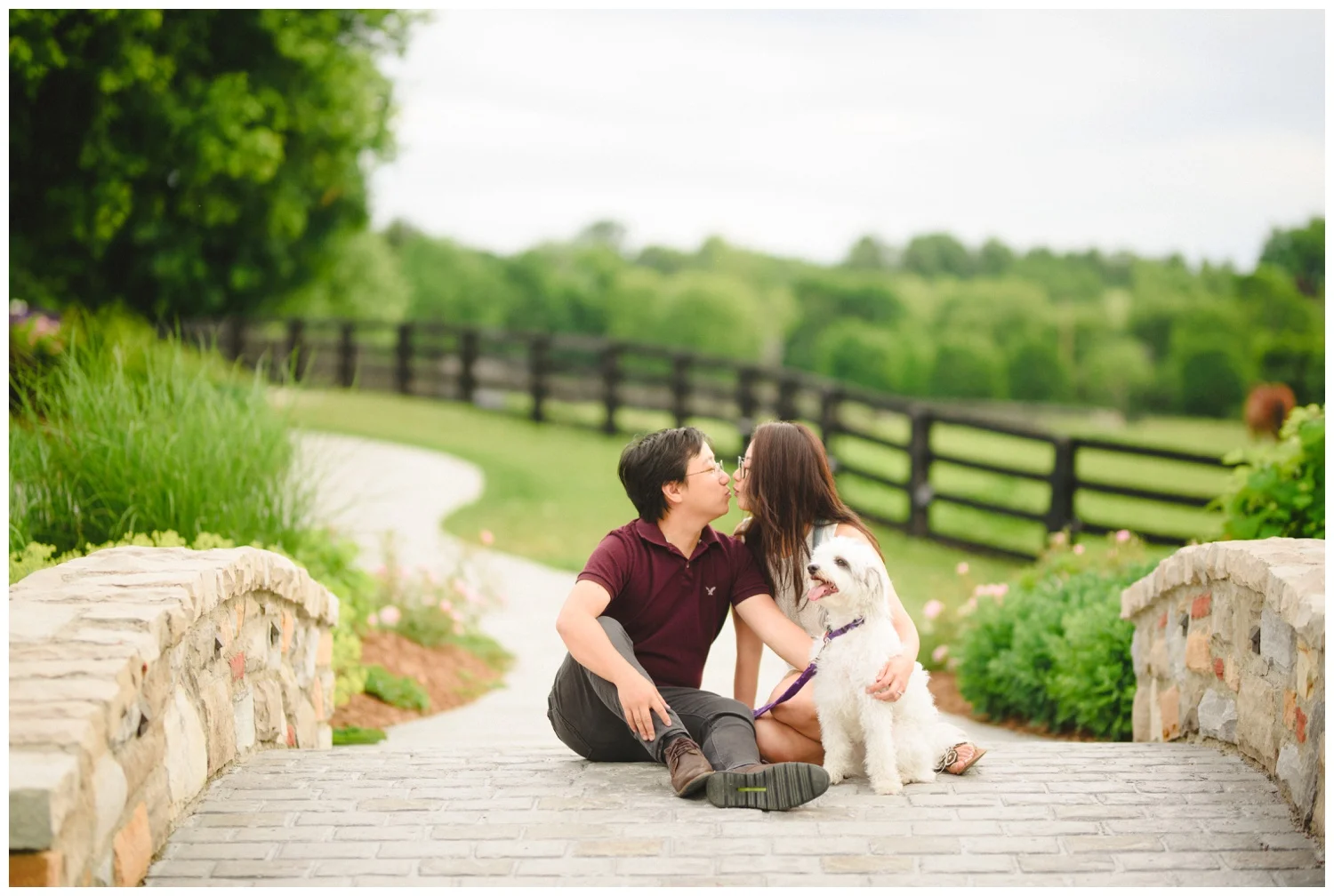Dog Tales Engagement Session Toronto and Newmarket wedding and engagement photographer