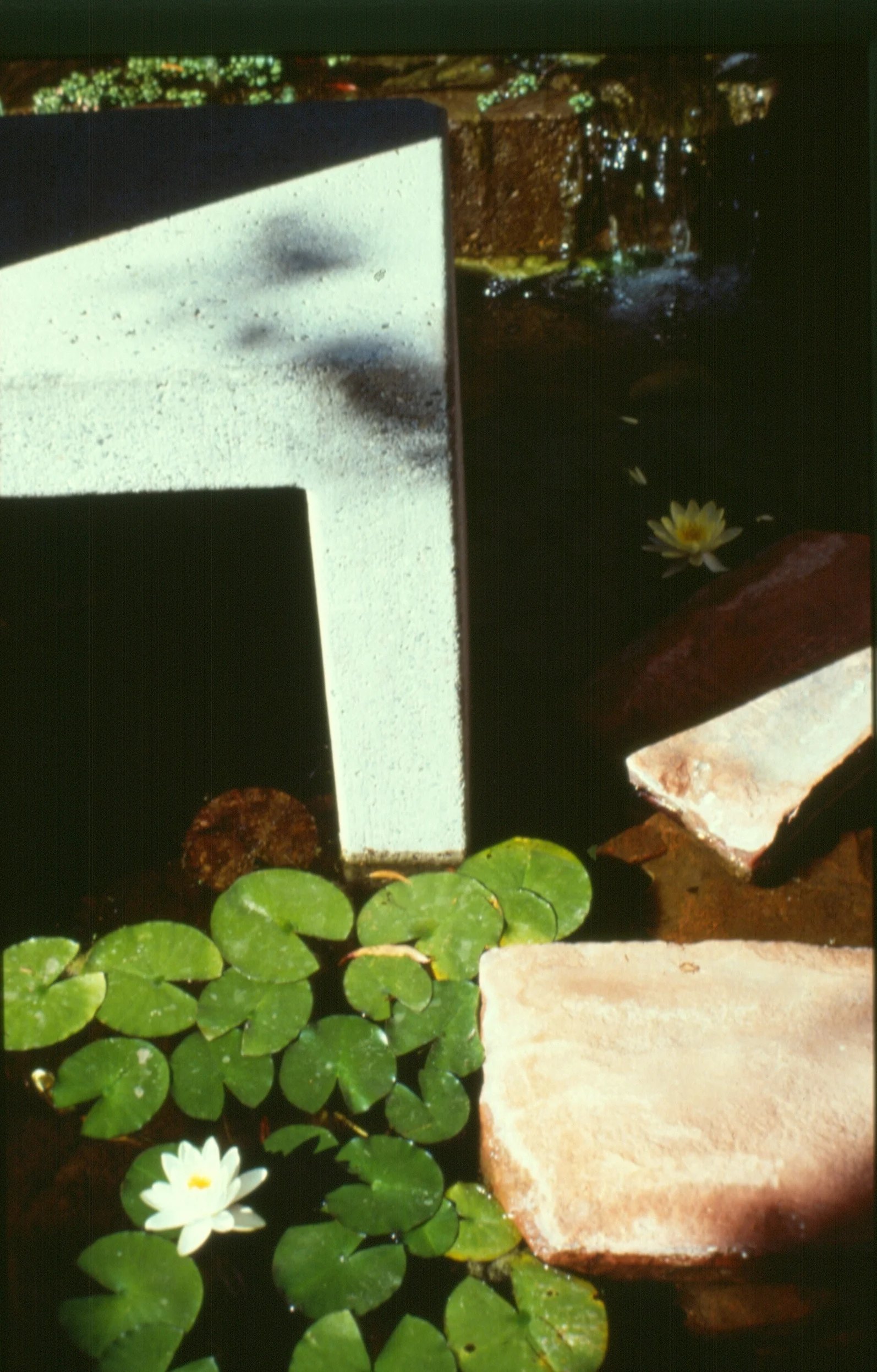 Jane Gile fountain detail 2.jpg